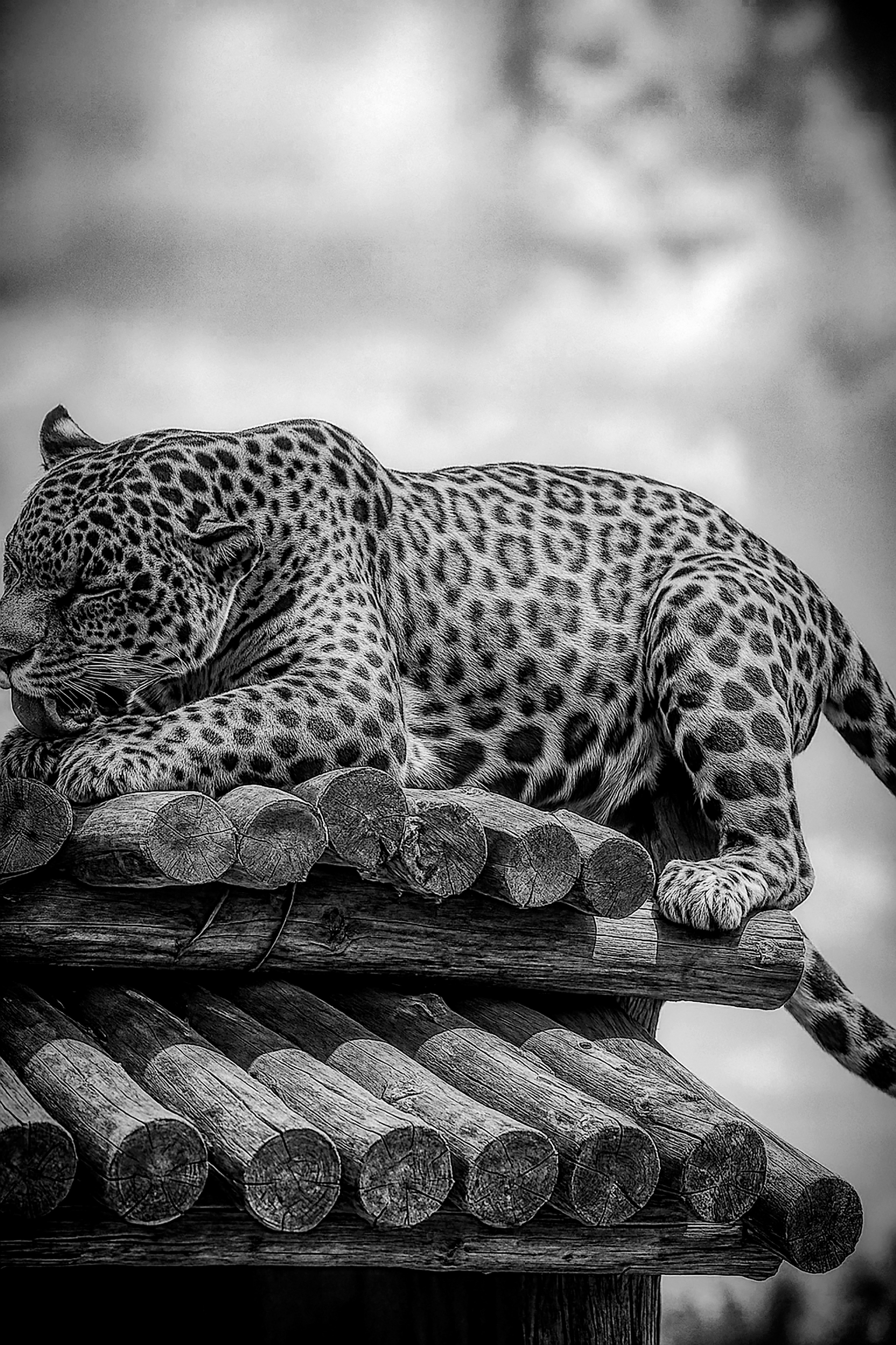 Photo by sergiomenamx