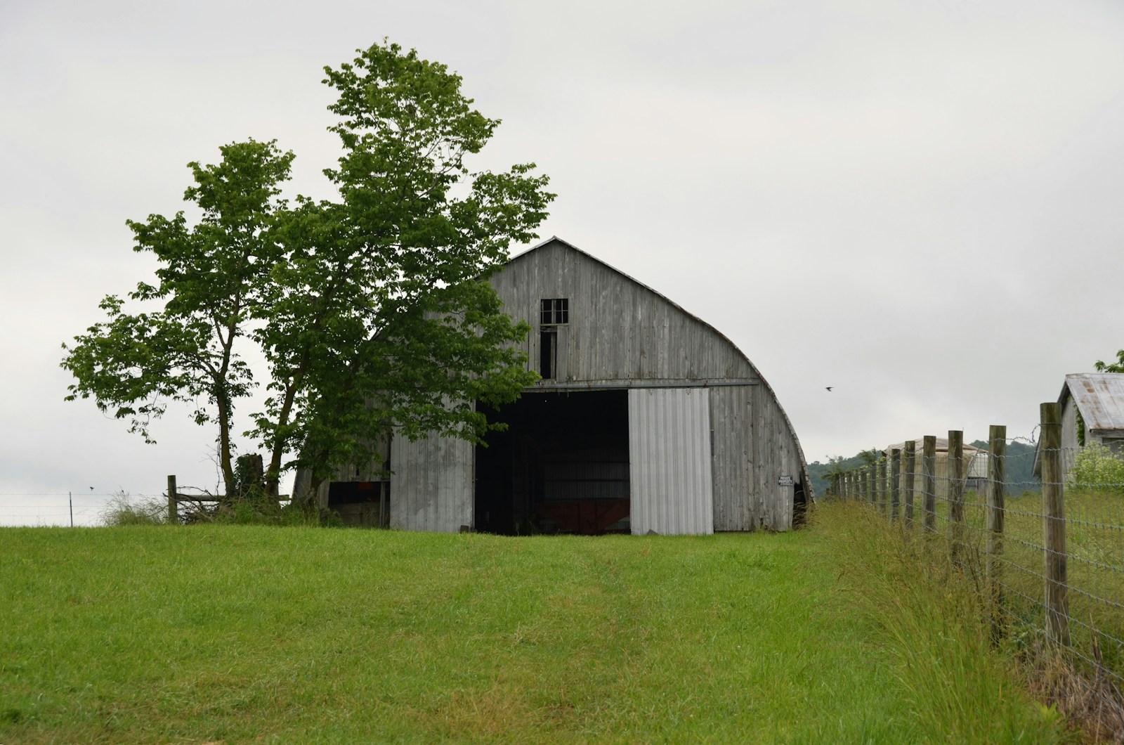 1. Selling Rural Property in the foothills northwest of Calgary - The Working Land (Pasture, Timber, Outbuildings)