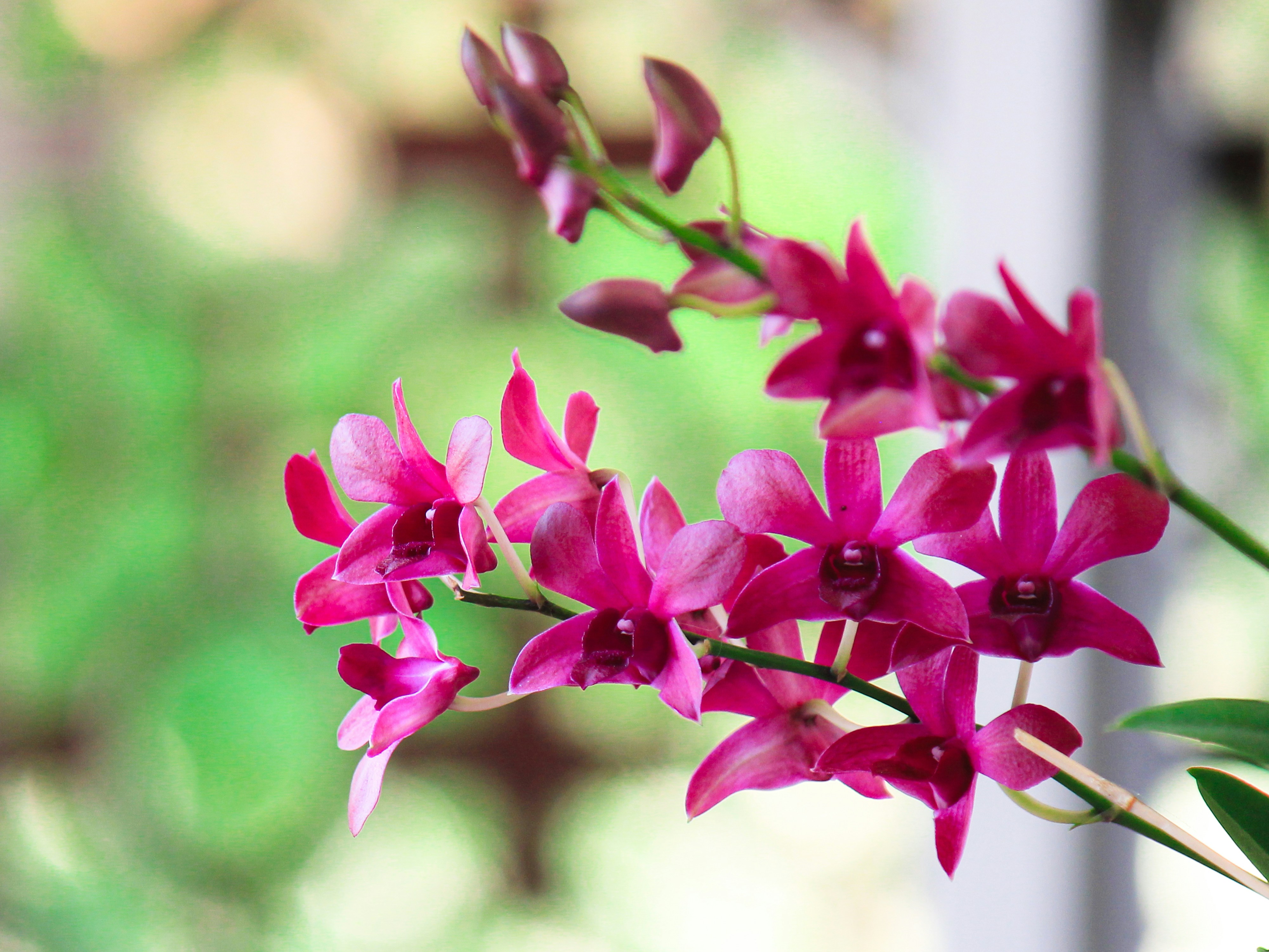 Photo by paulo_pescada