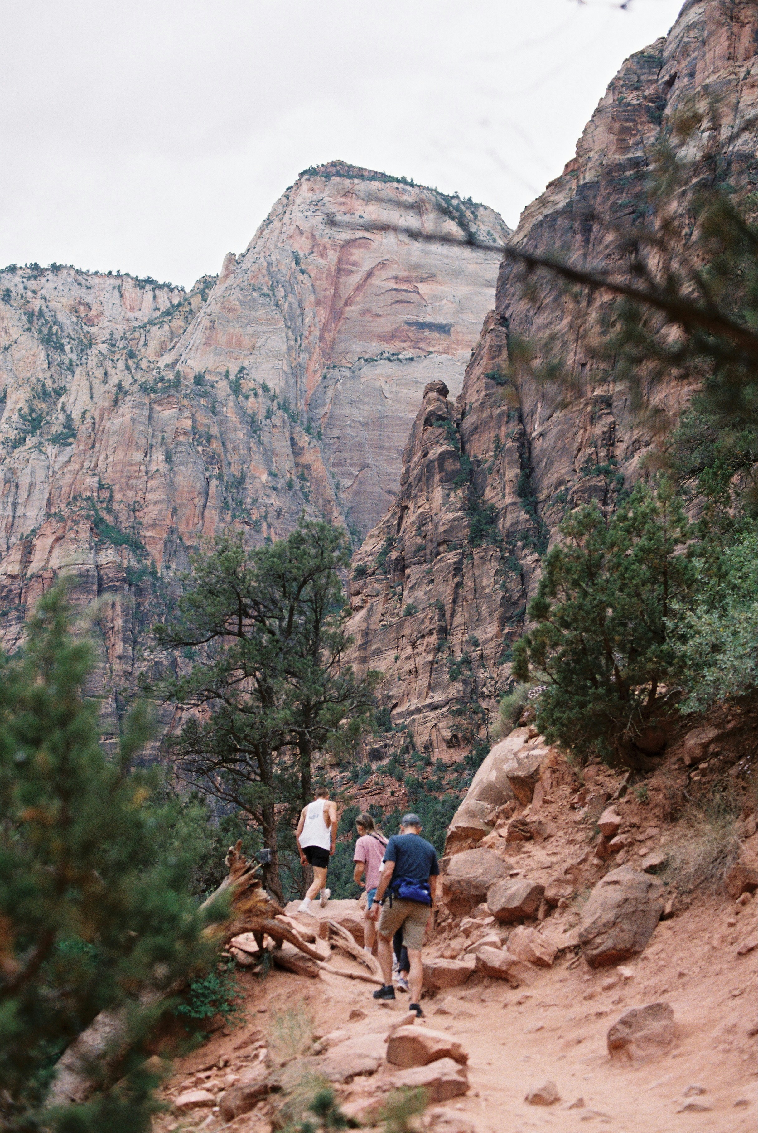 Photo by theguccer2100