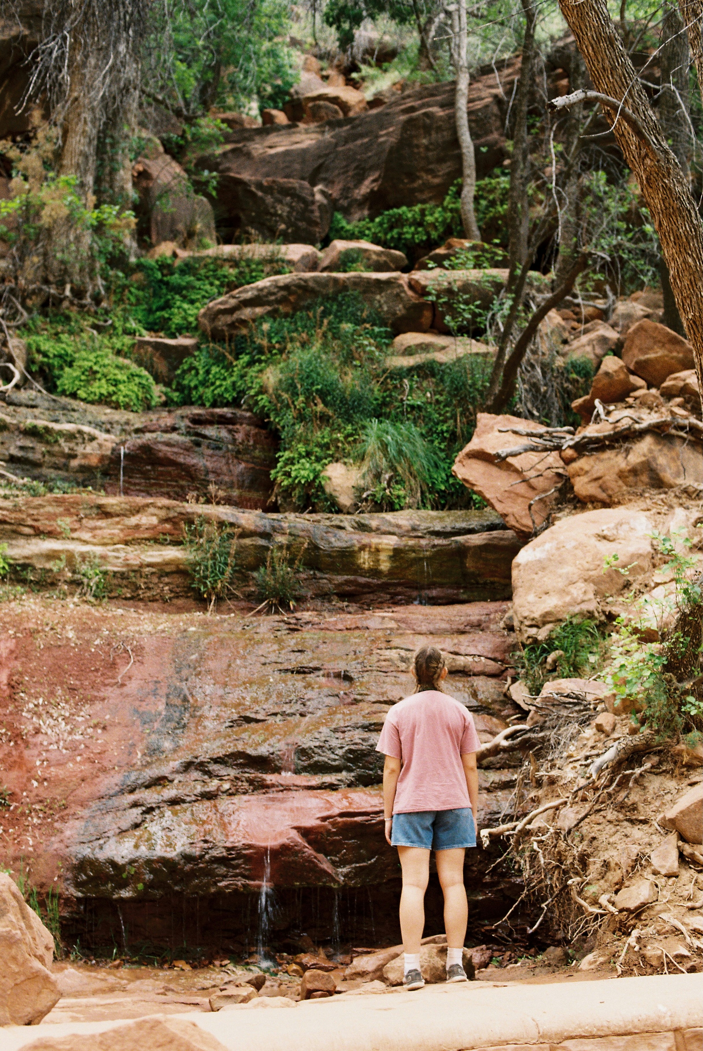 Photo by theguccer2100