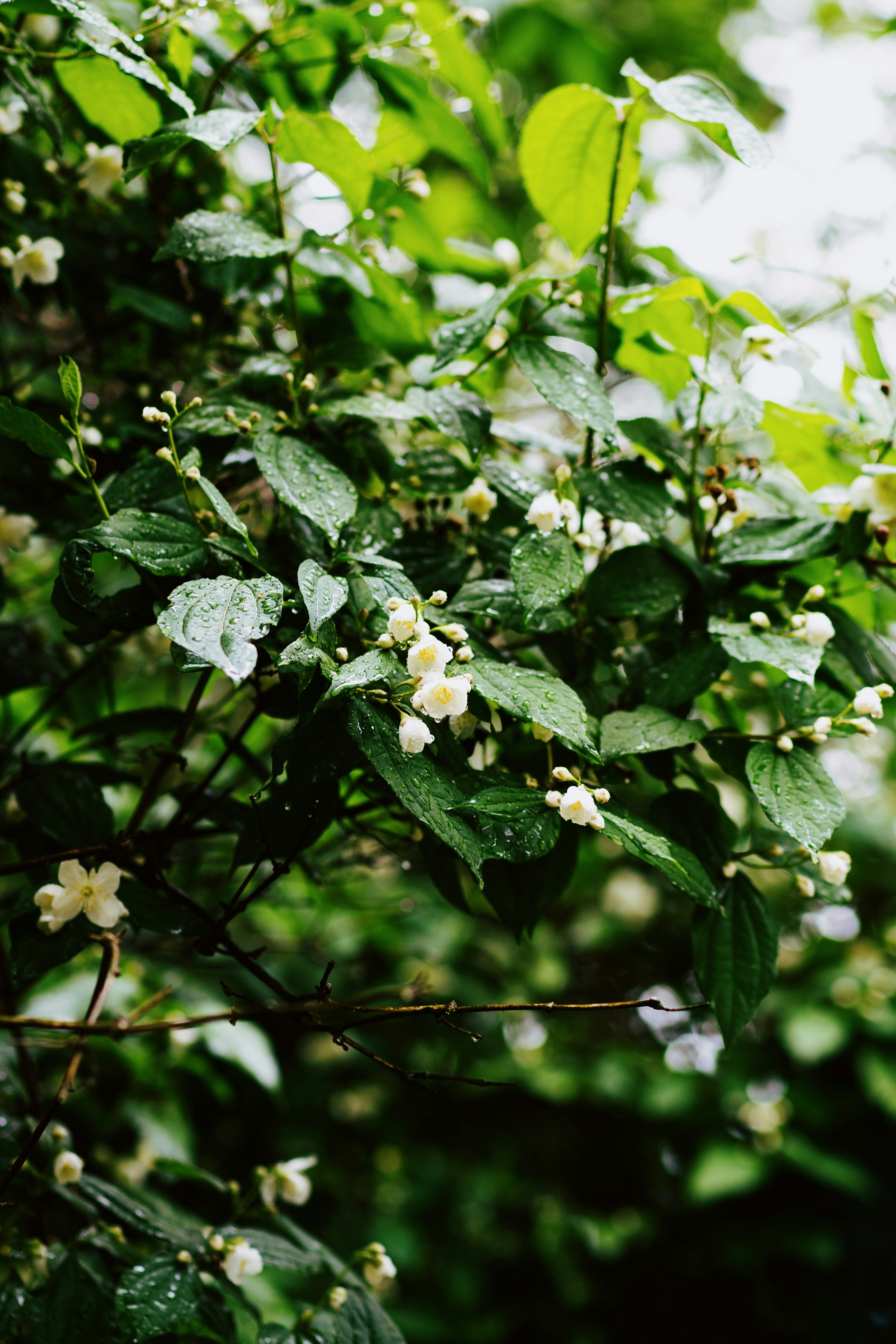 Photo by anamnesis33