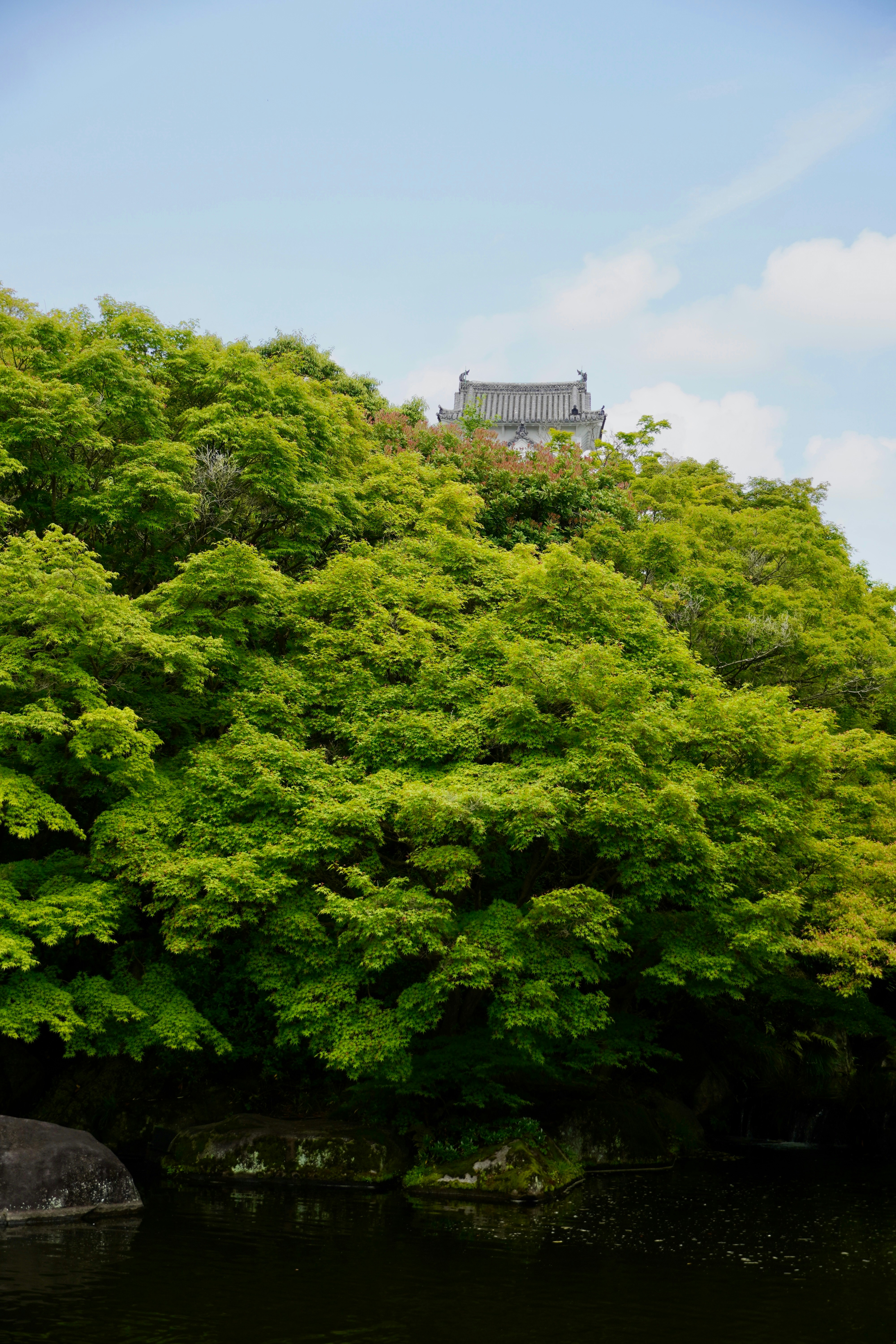 Photo by meinayin