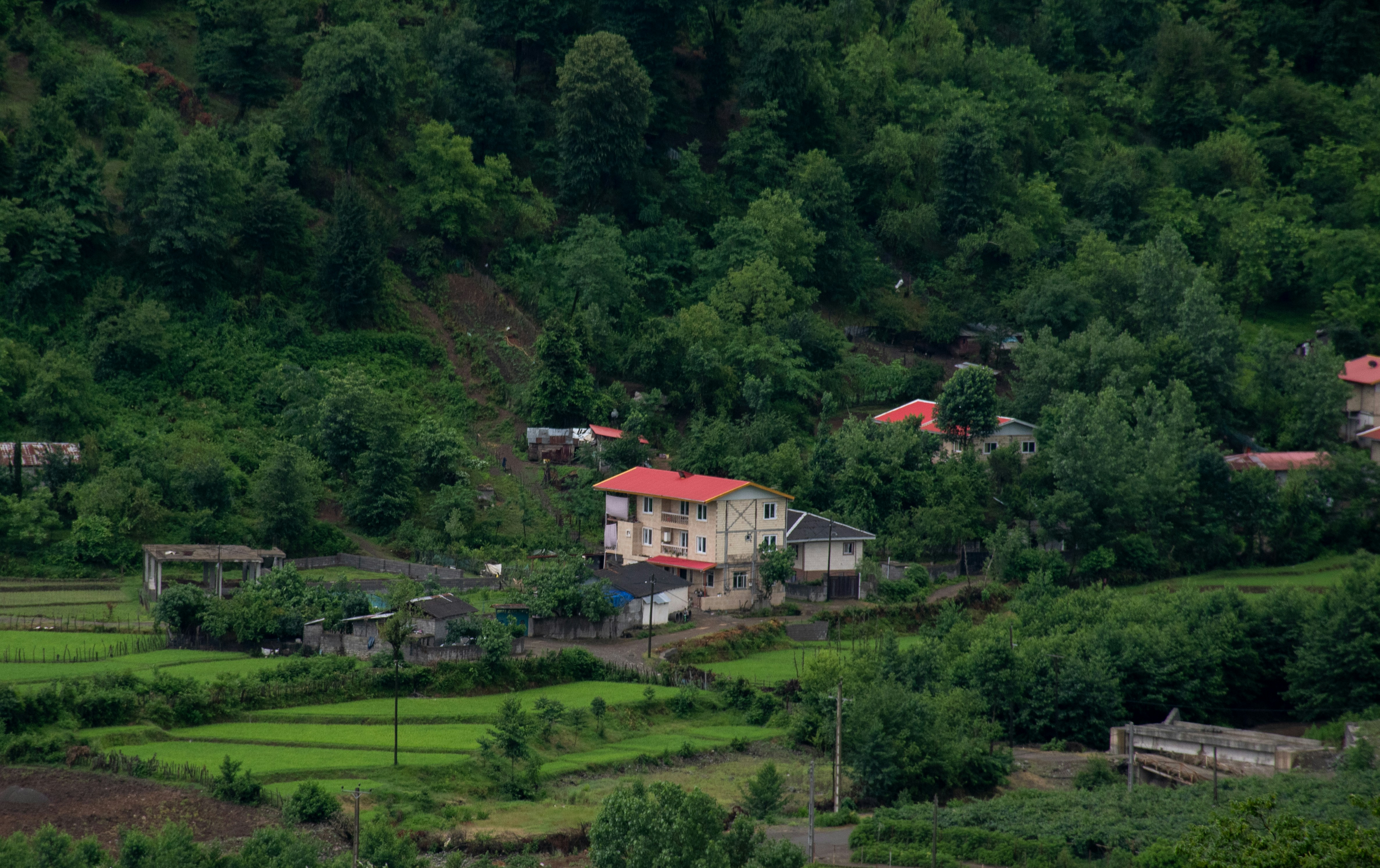 A village nestled among lush, green trees.