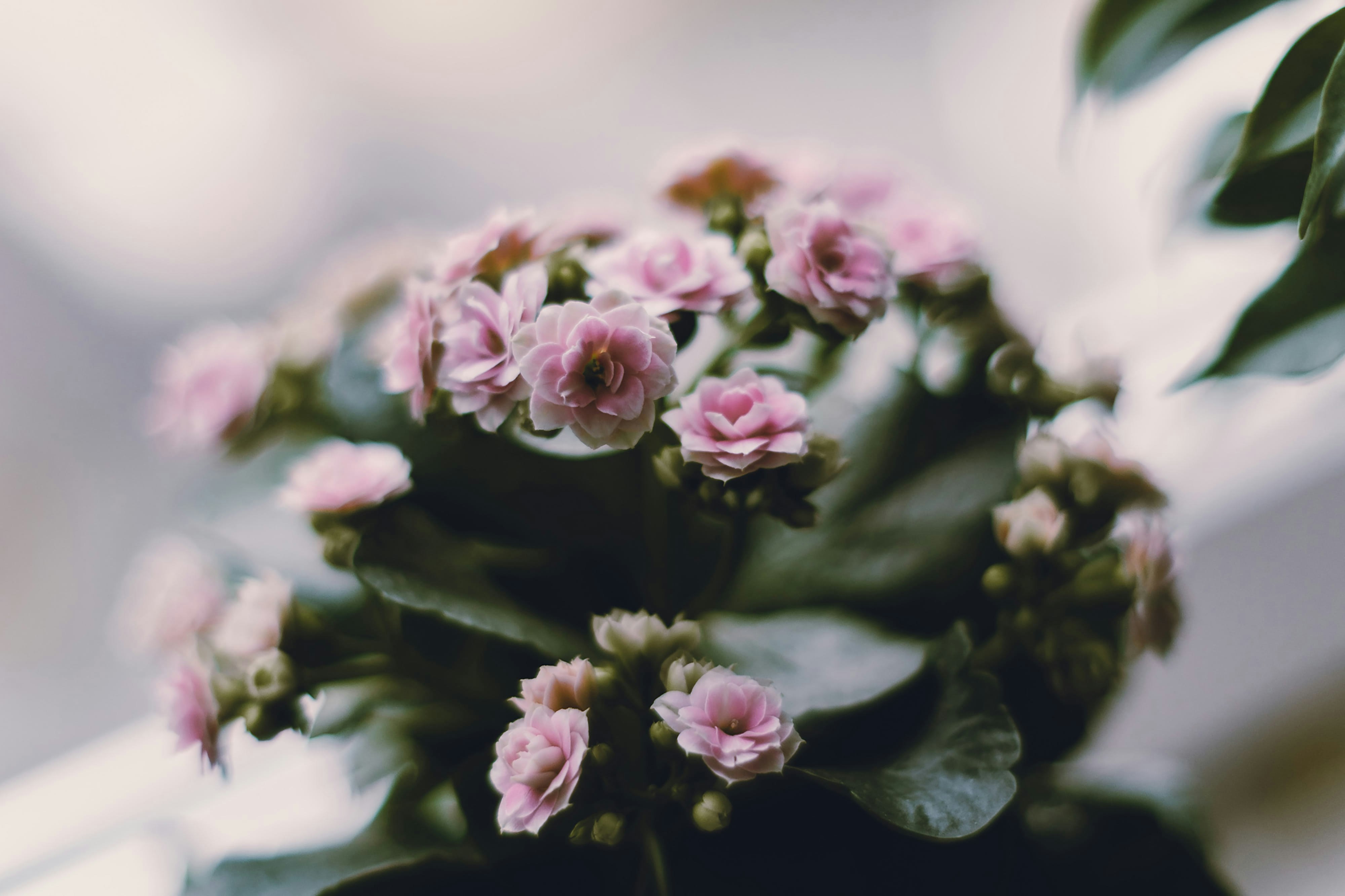 Photo by markuswinkler