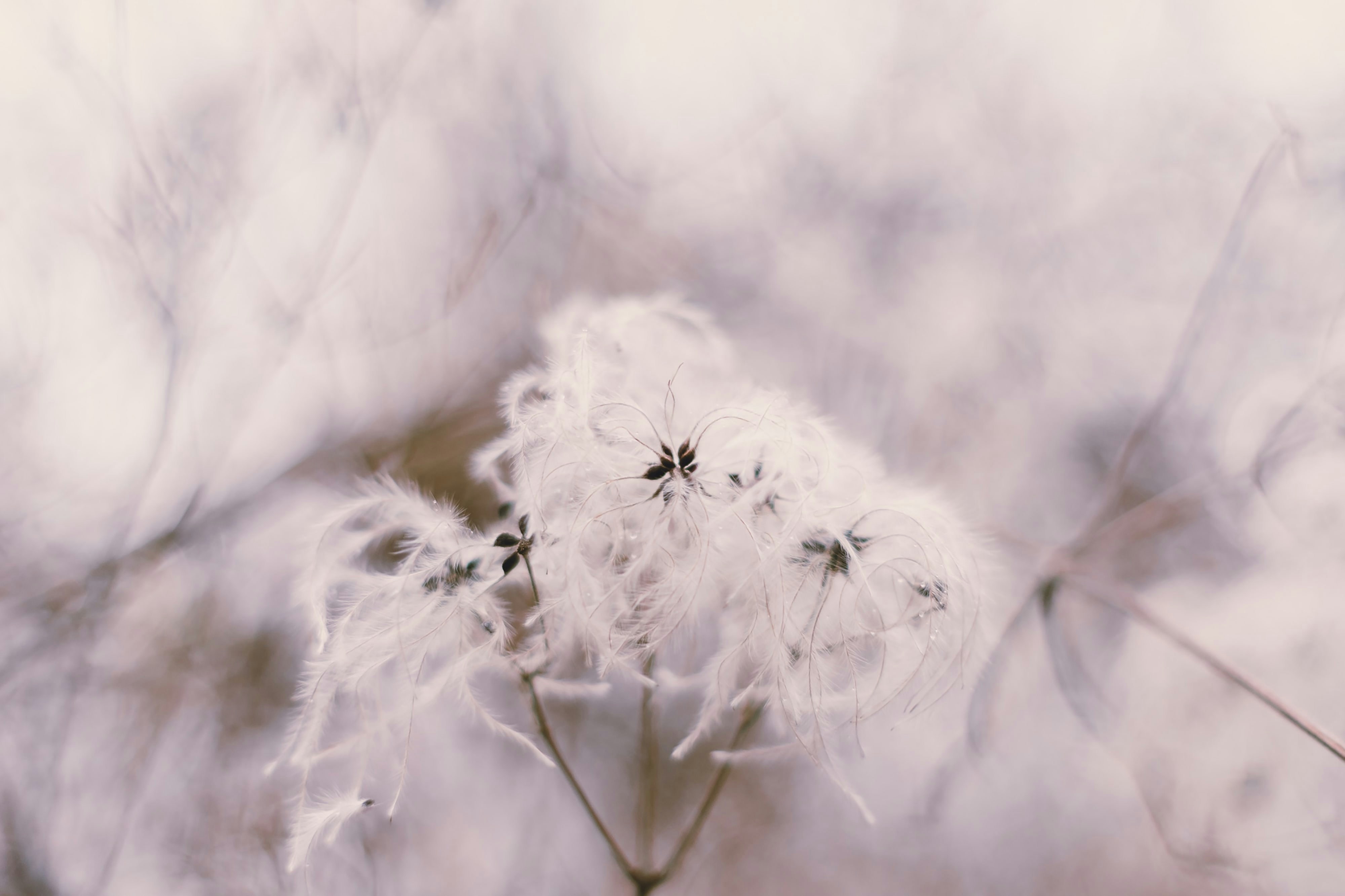 Photo by markuswinkler