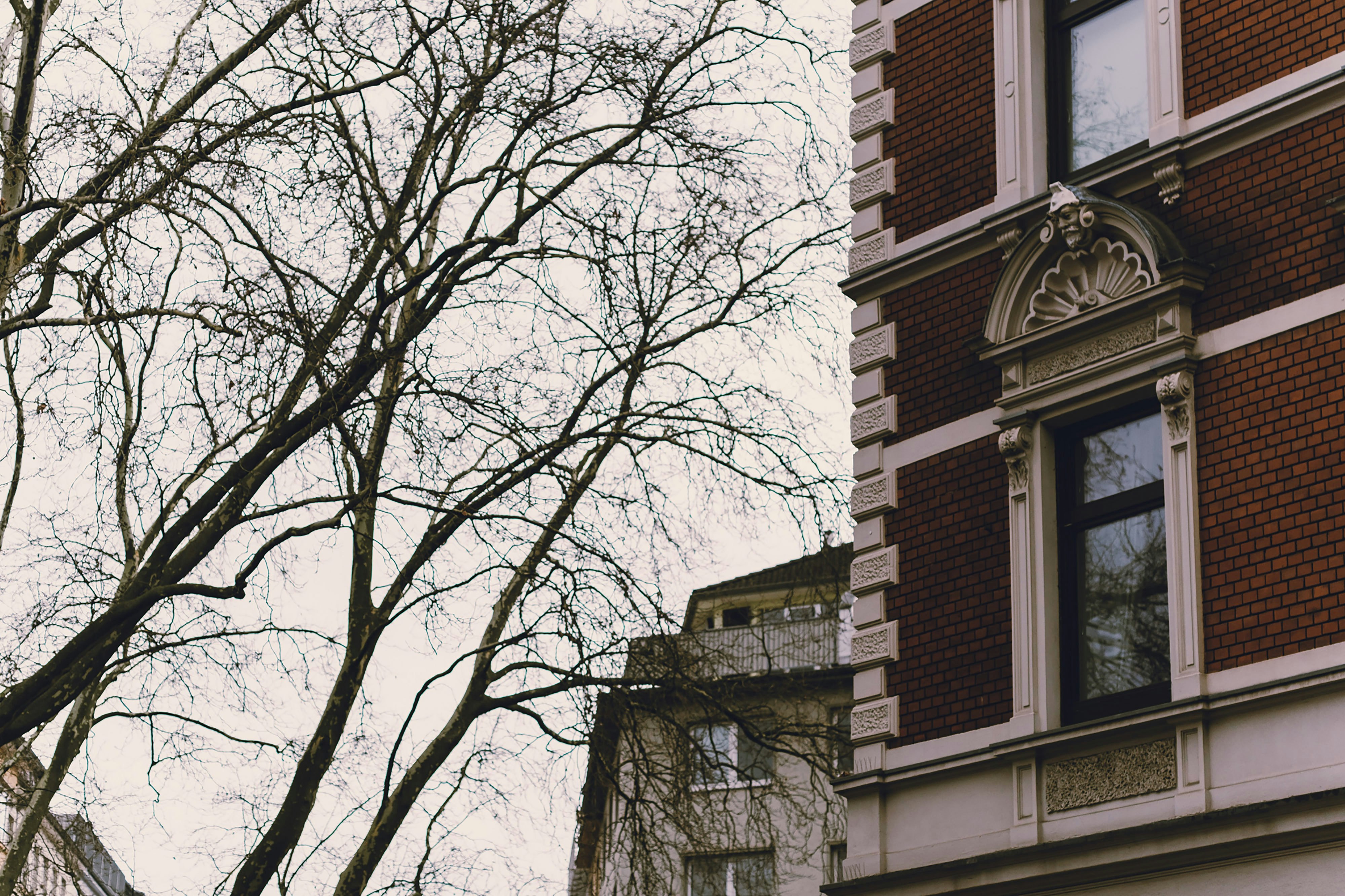 Photo by markuswinkler