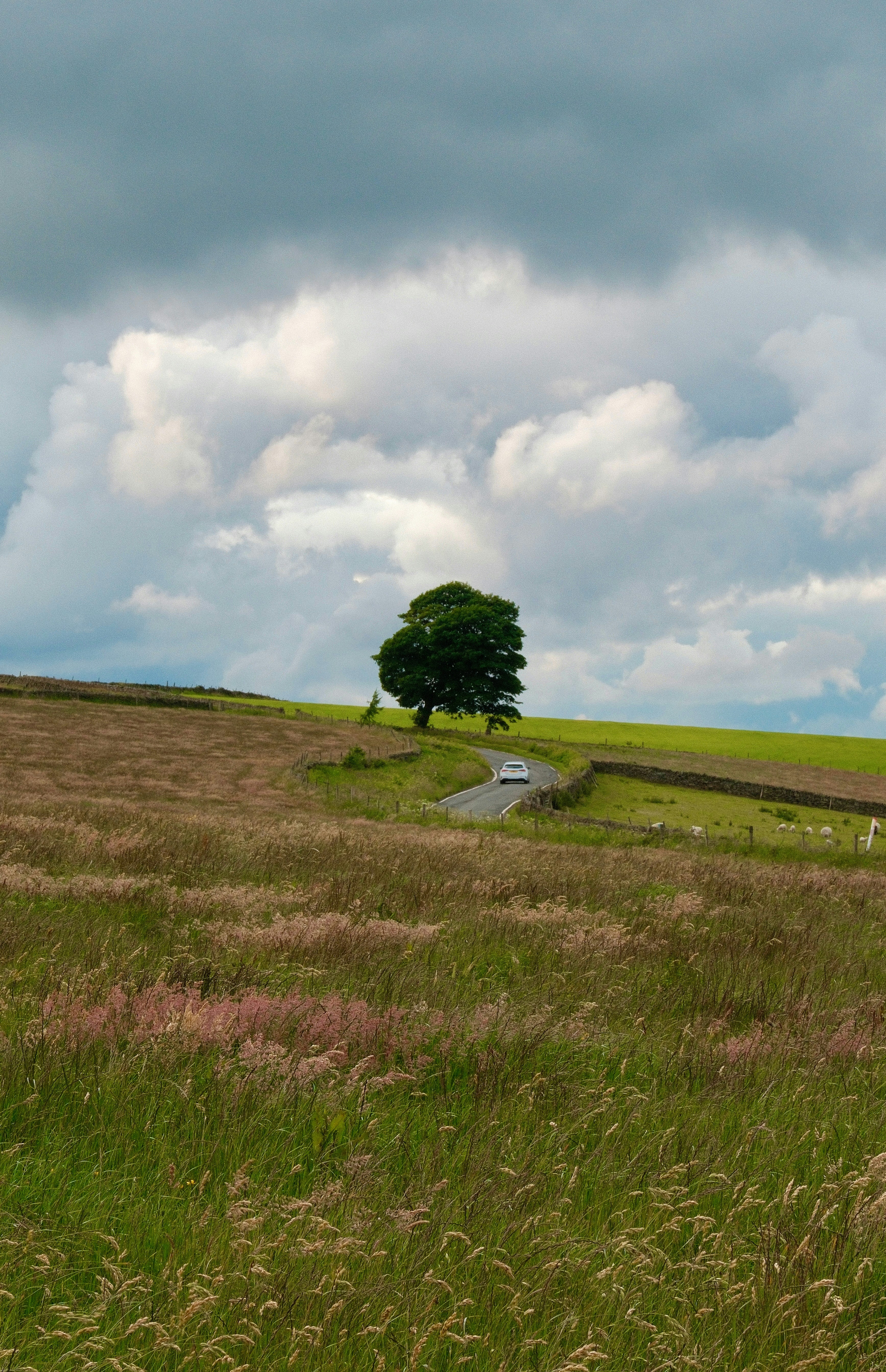 Photo by alekseixagafonov