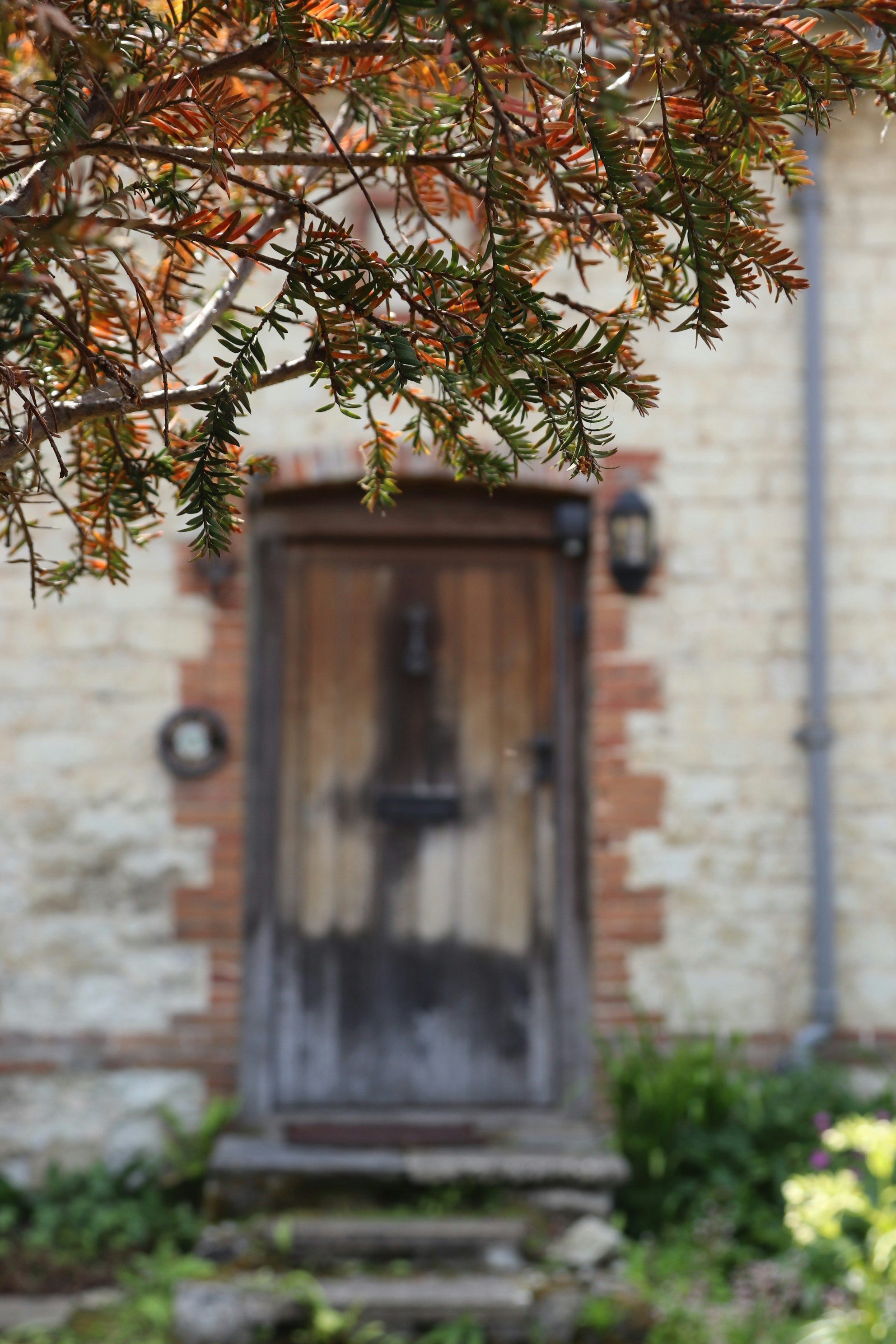 Photo by tanyabarrow