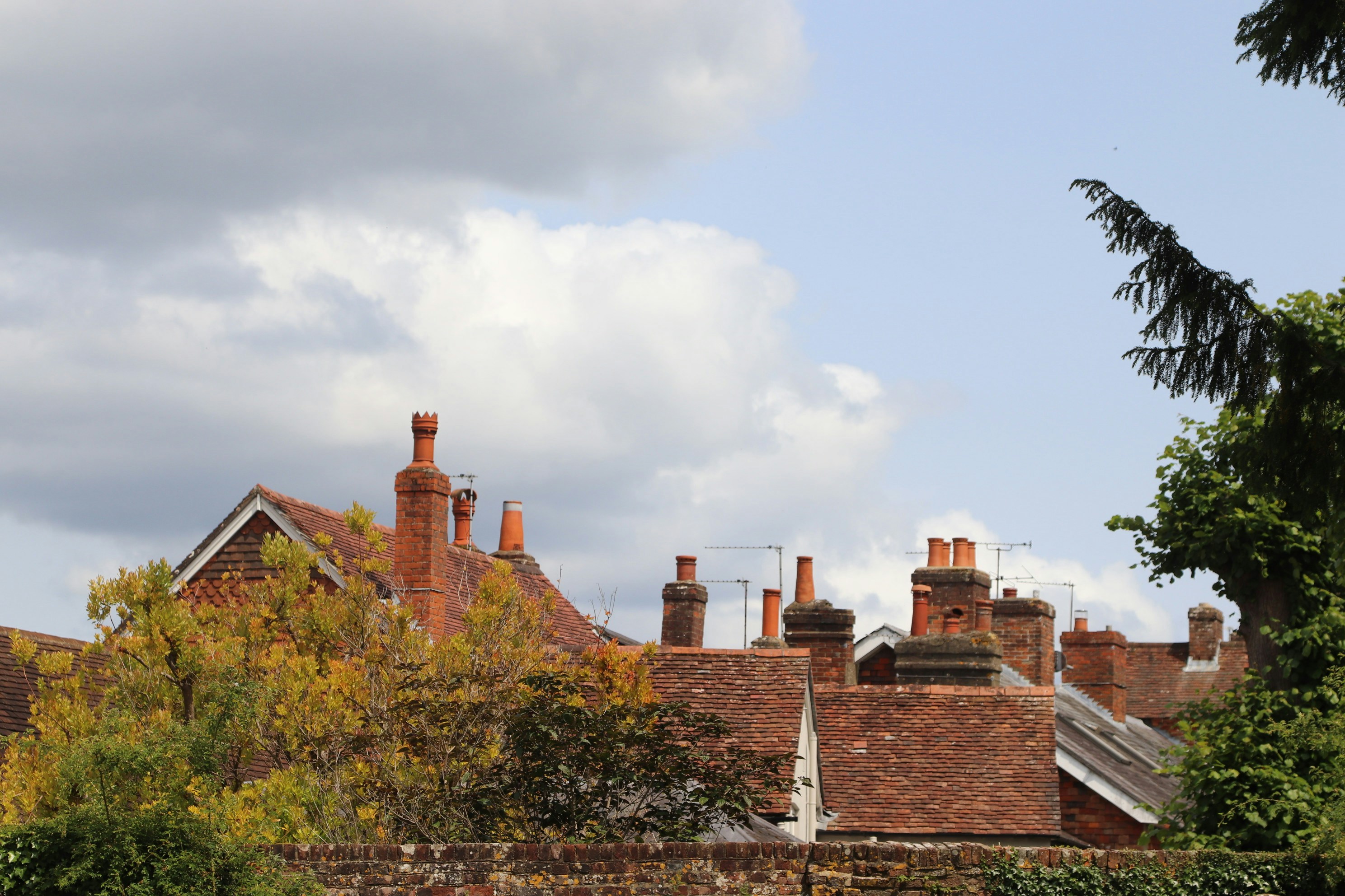 Photo by tanyabarrow