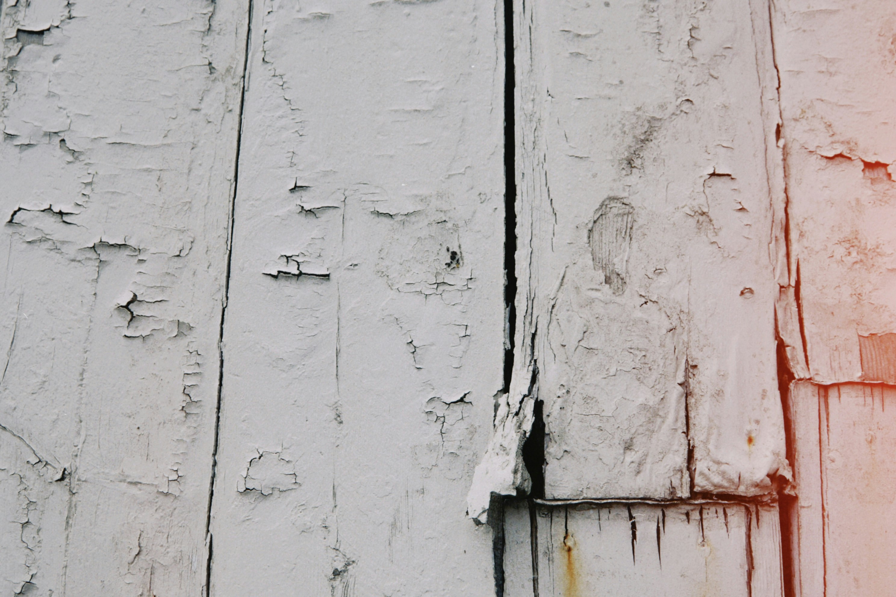 Photo by tanyabarrow