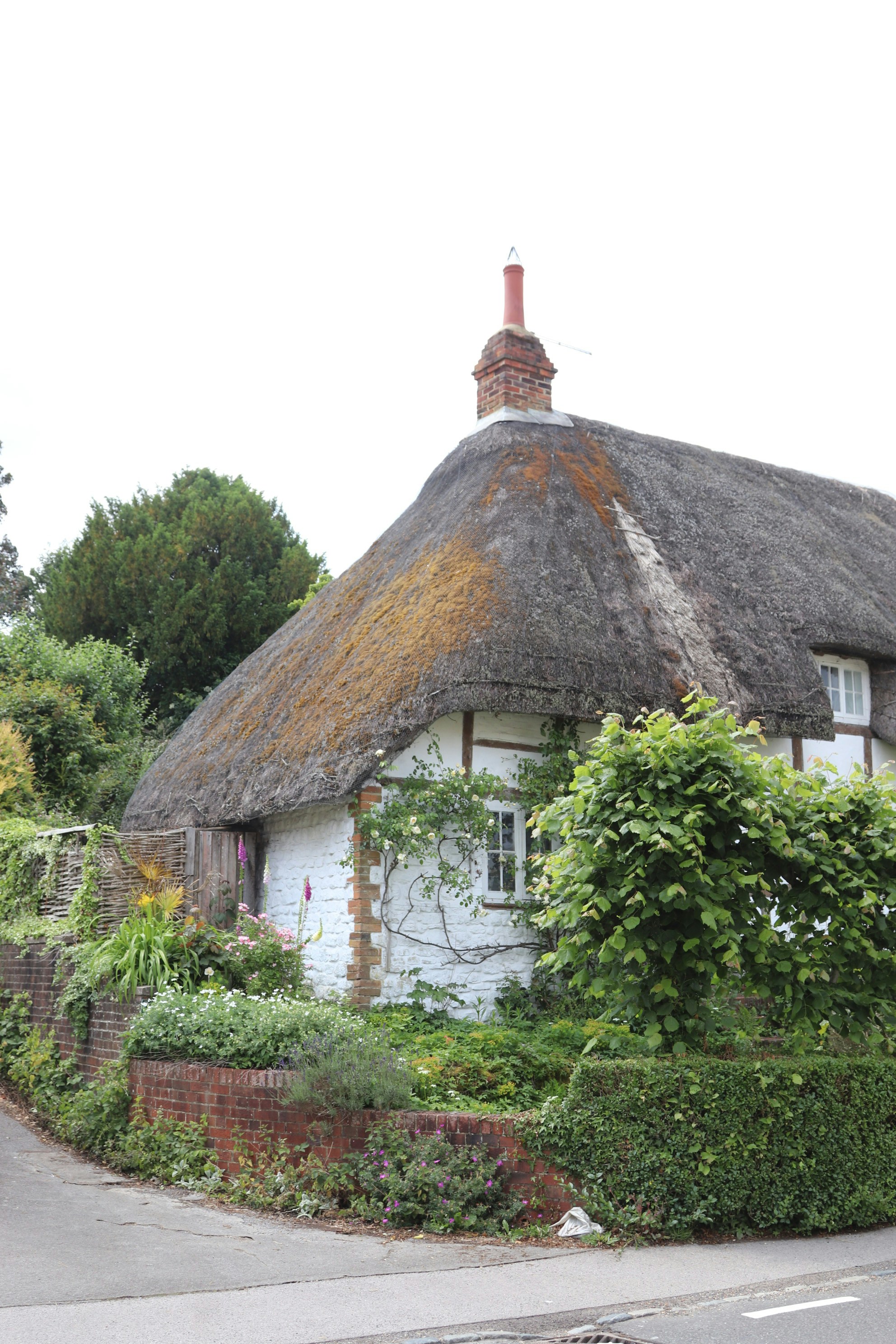 Photo by tanyabarrow