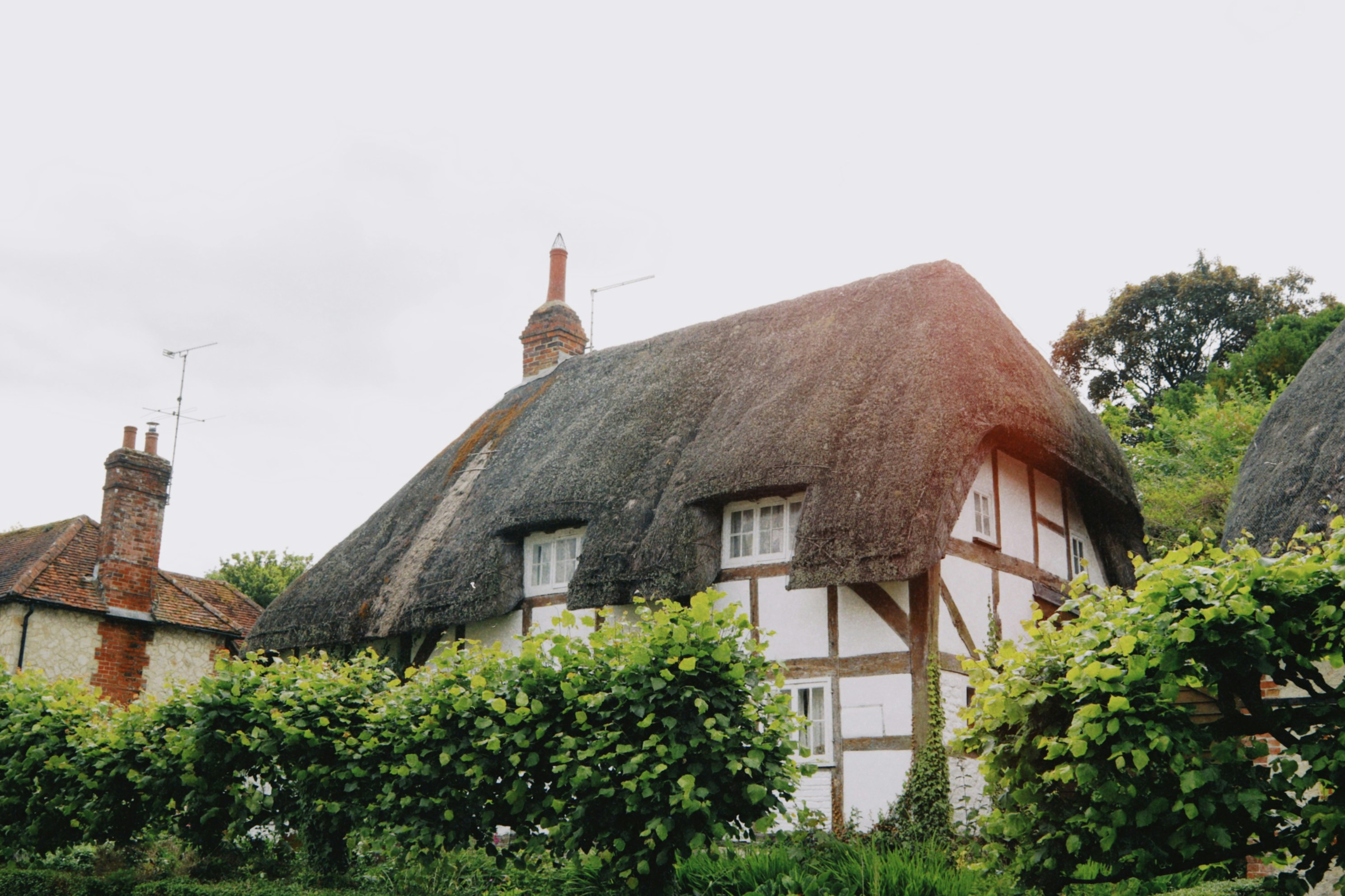 Photo by tanyabarrow