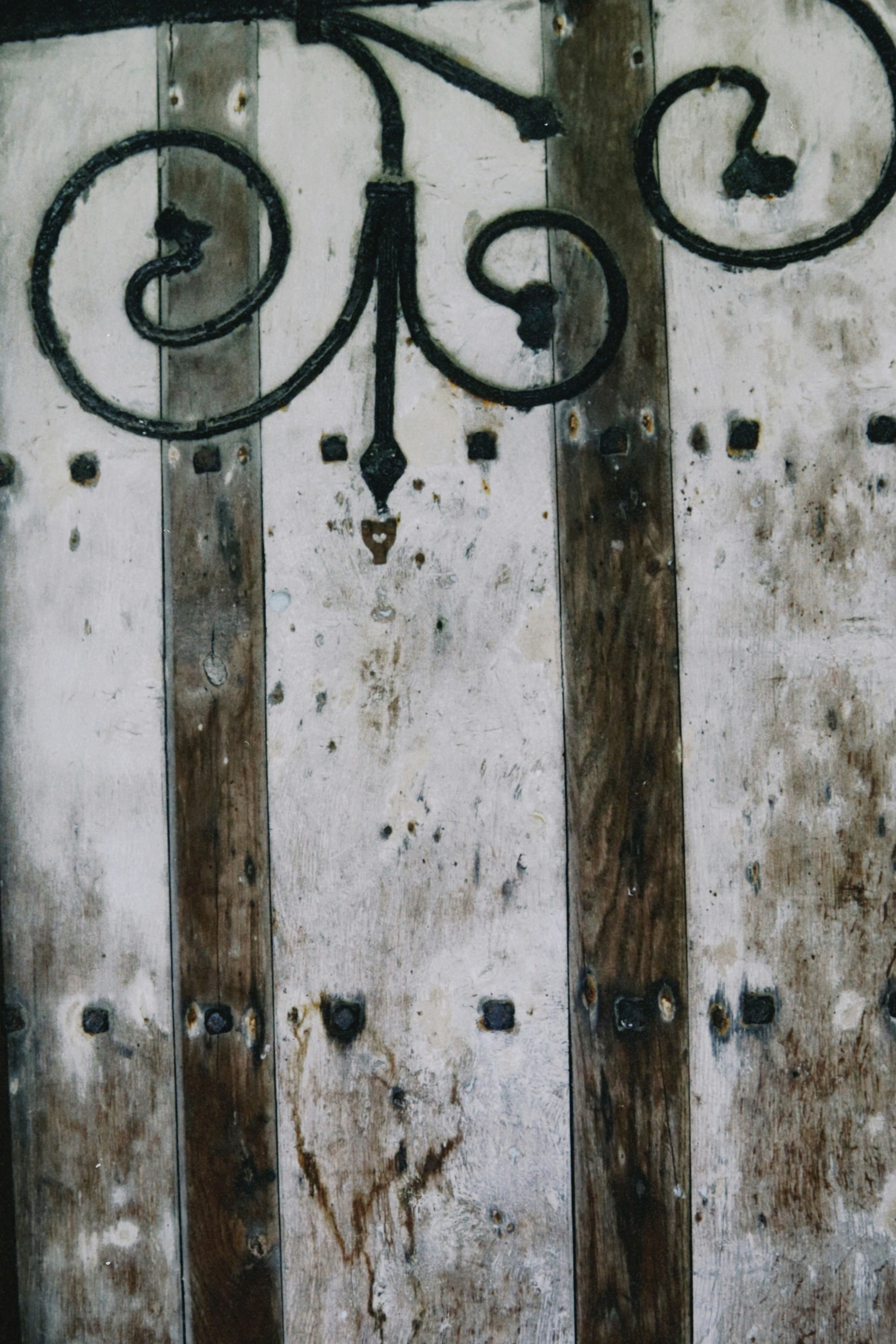 Photo by tanyabarrow