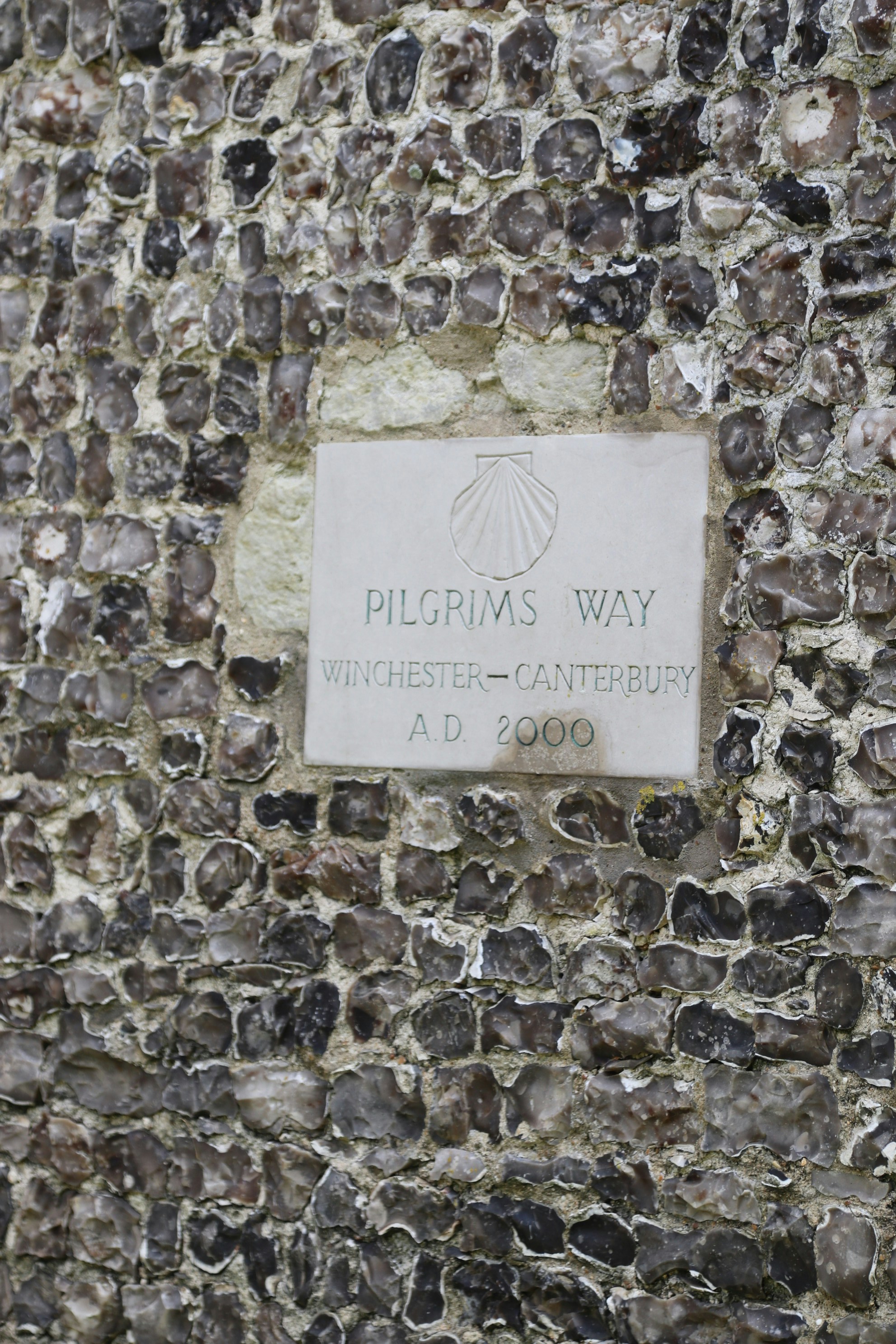 Photo by tanyabarrow