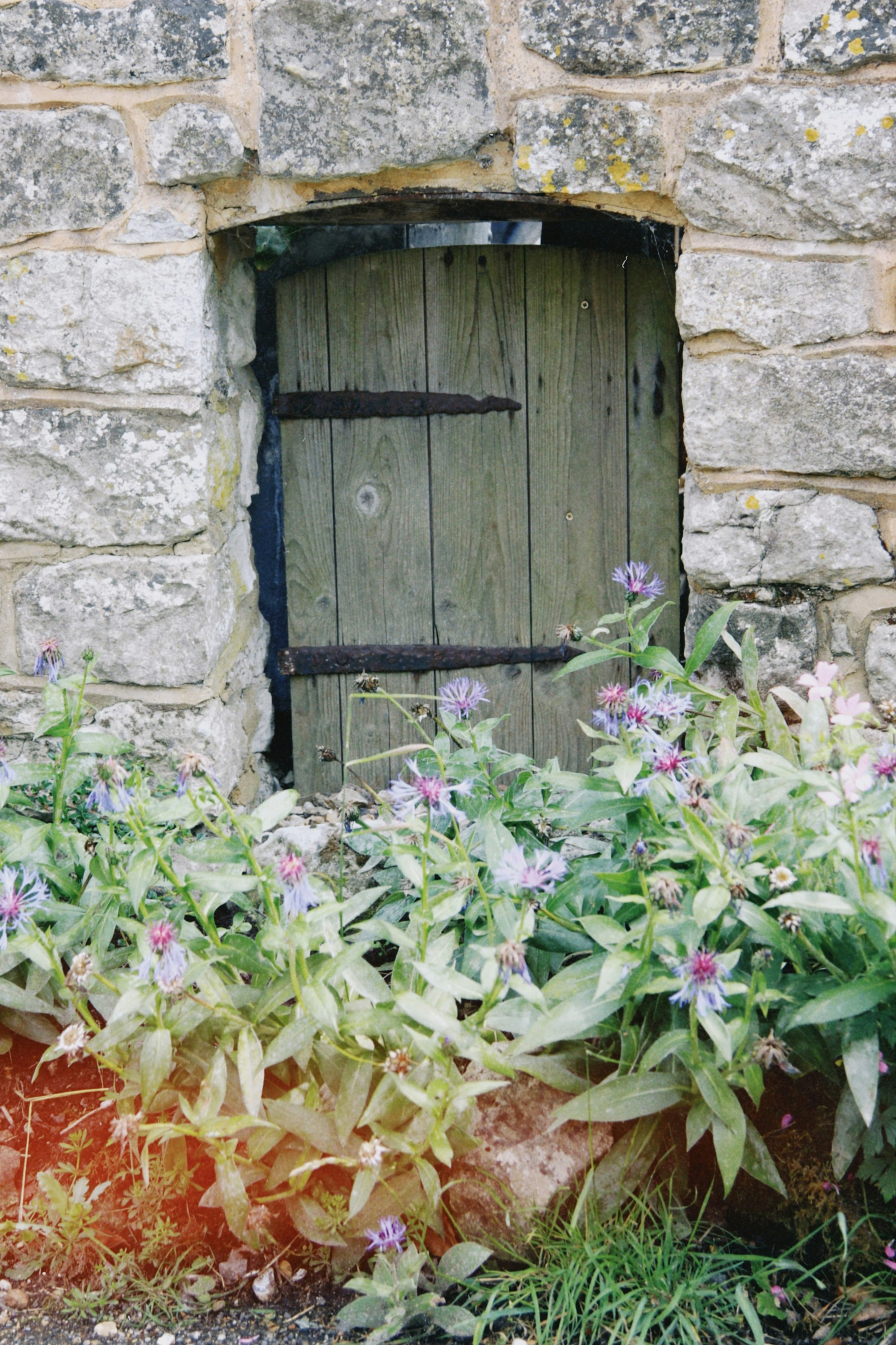 Photo by tanyabarrow