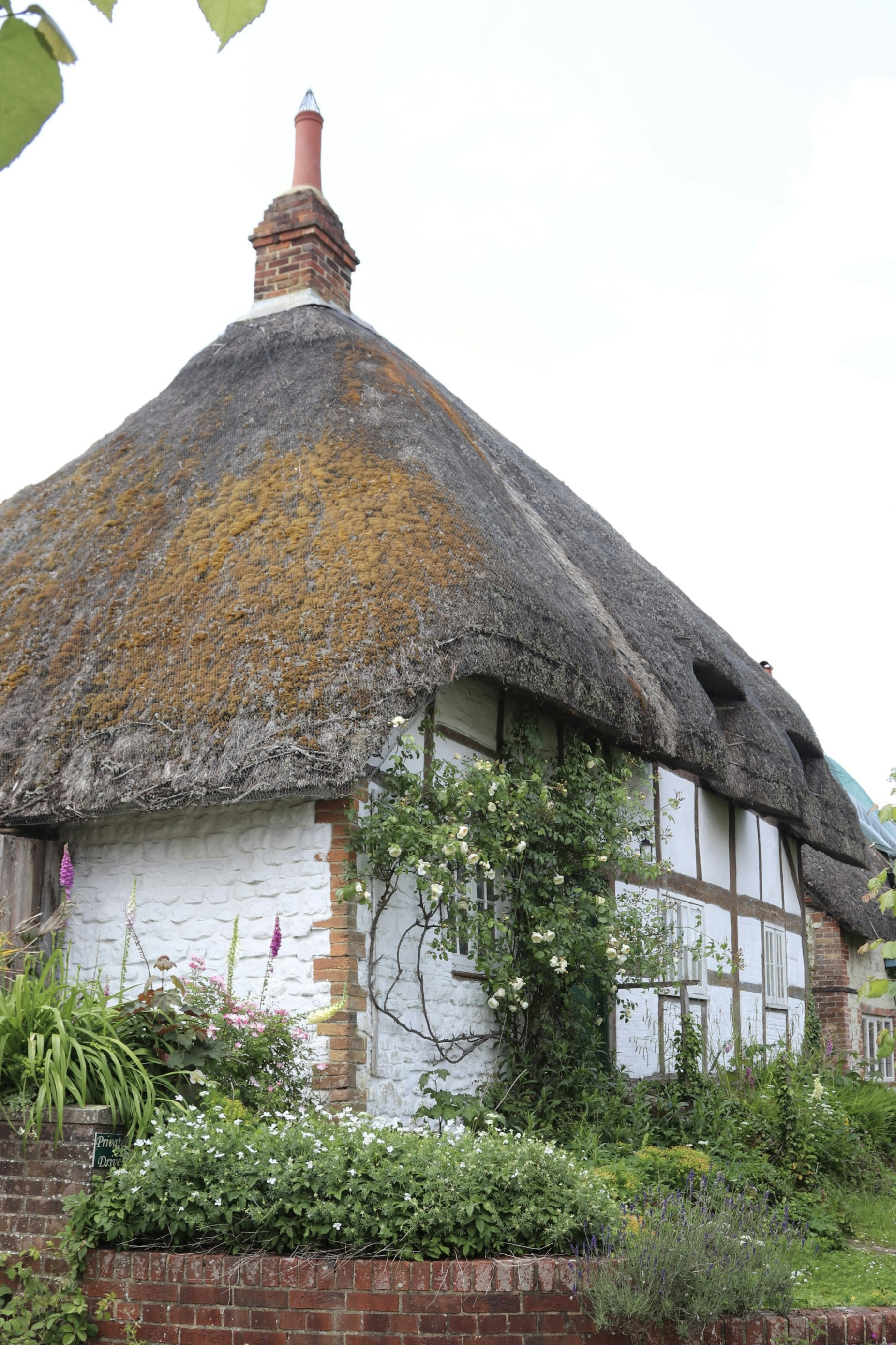 Photo by tanyabarrow