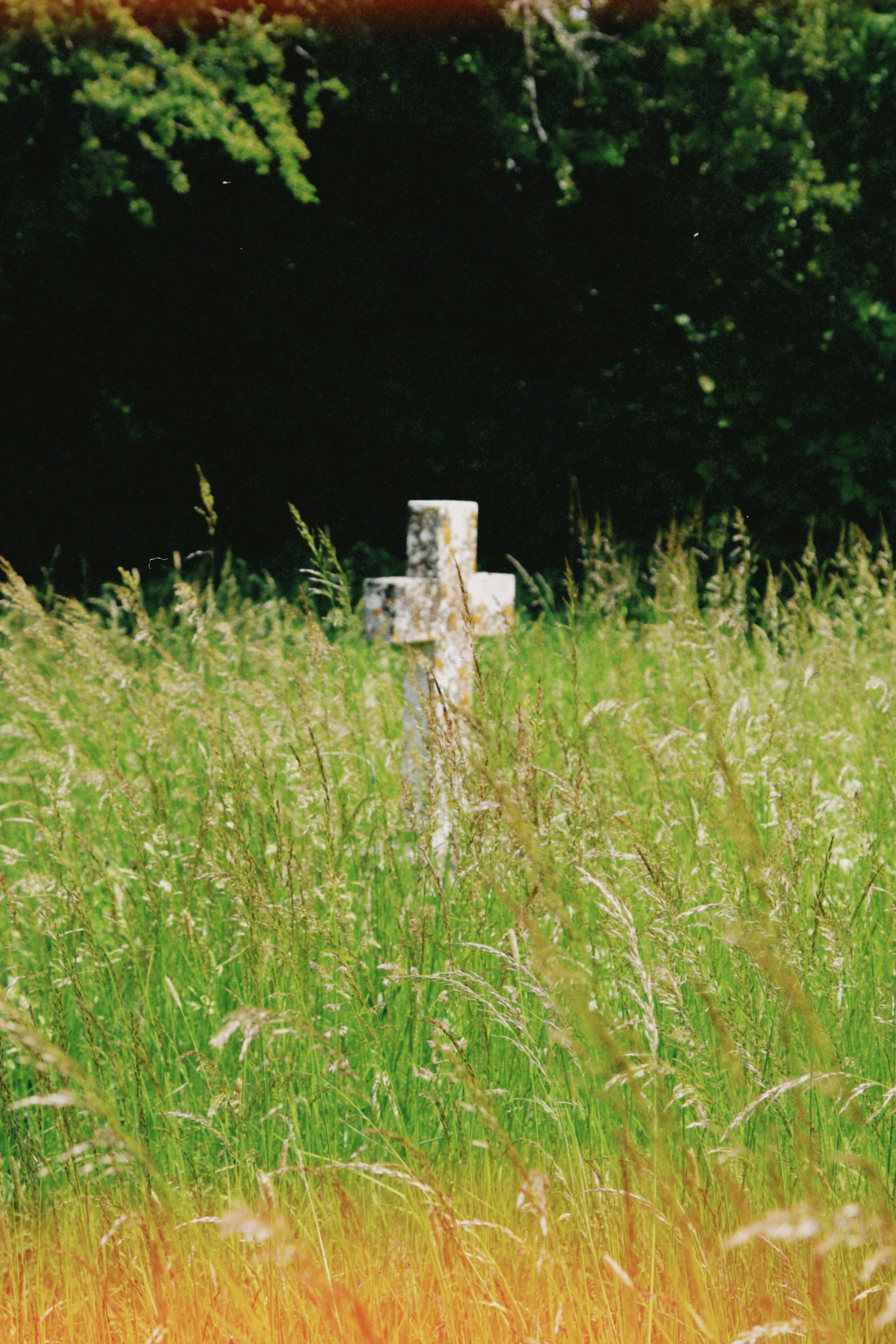 Photo by tanyabarrow