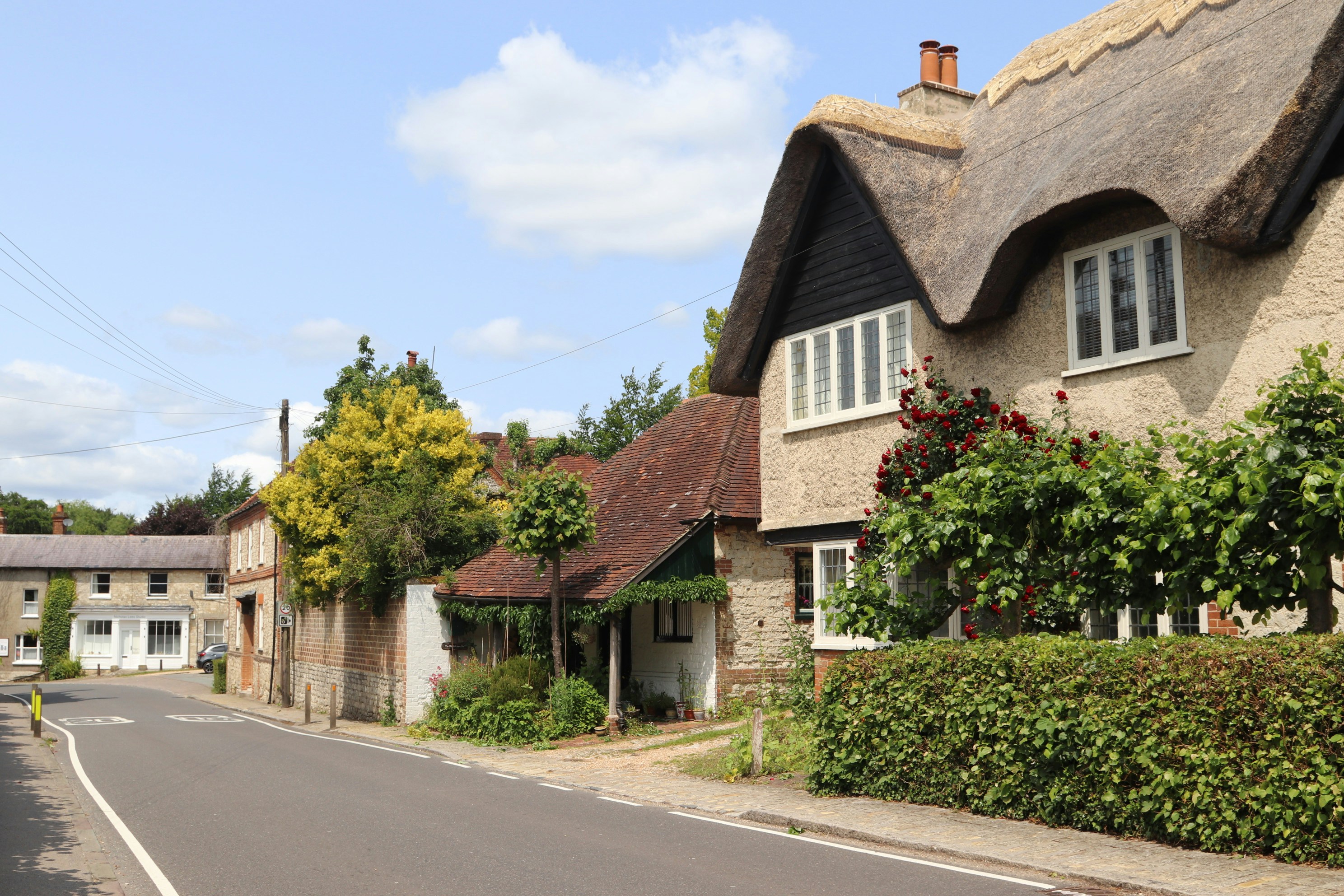 Photo by tanyabarrow