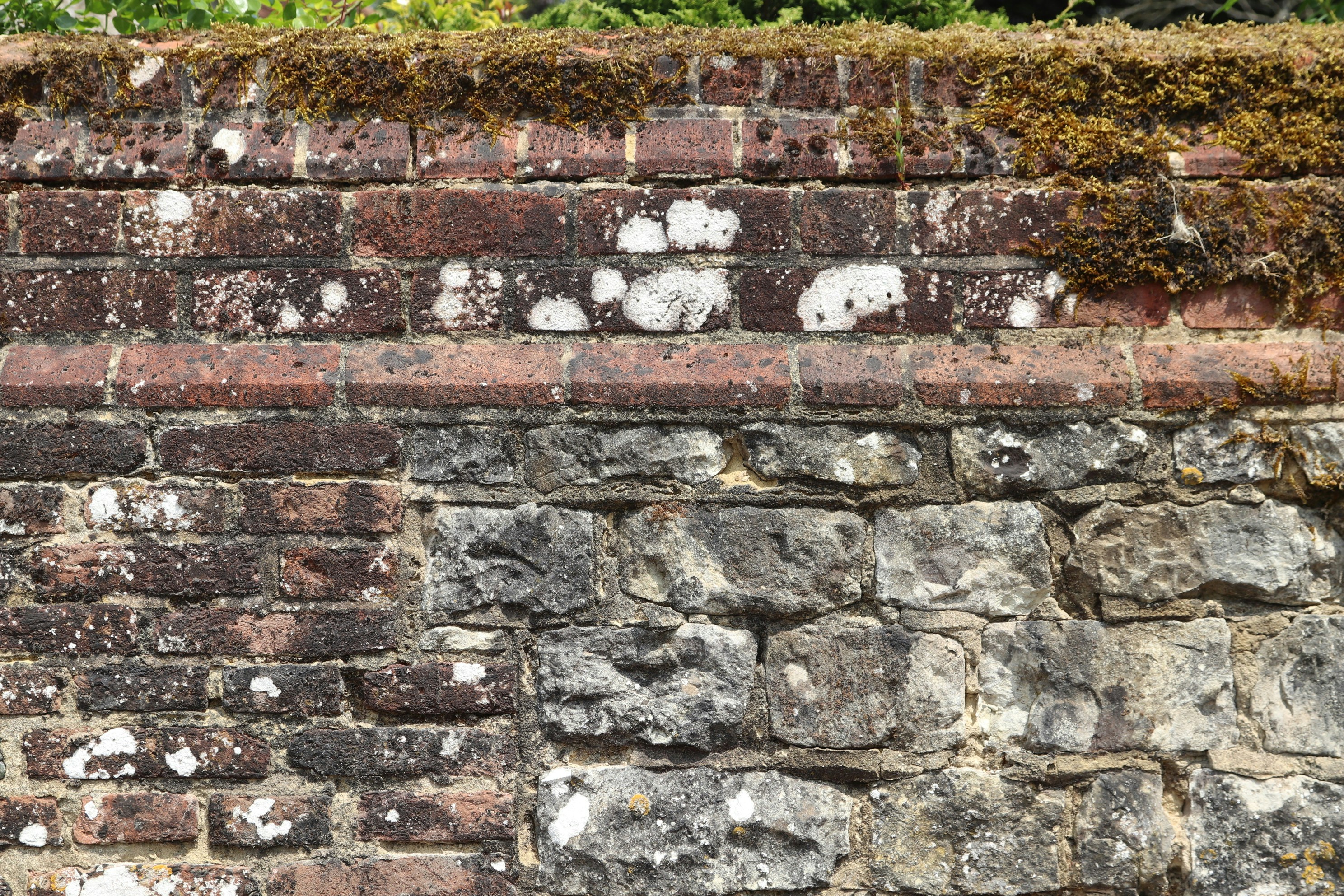 Photo by tanyabarrow