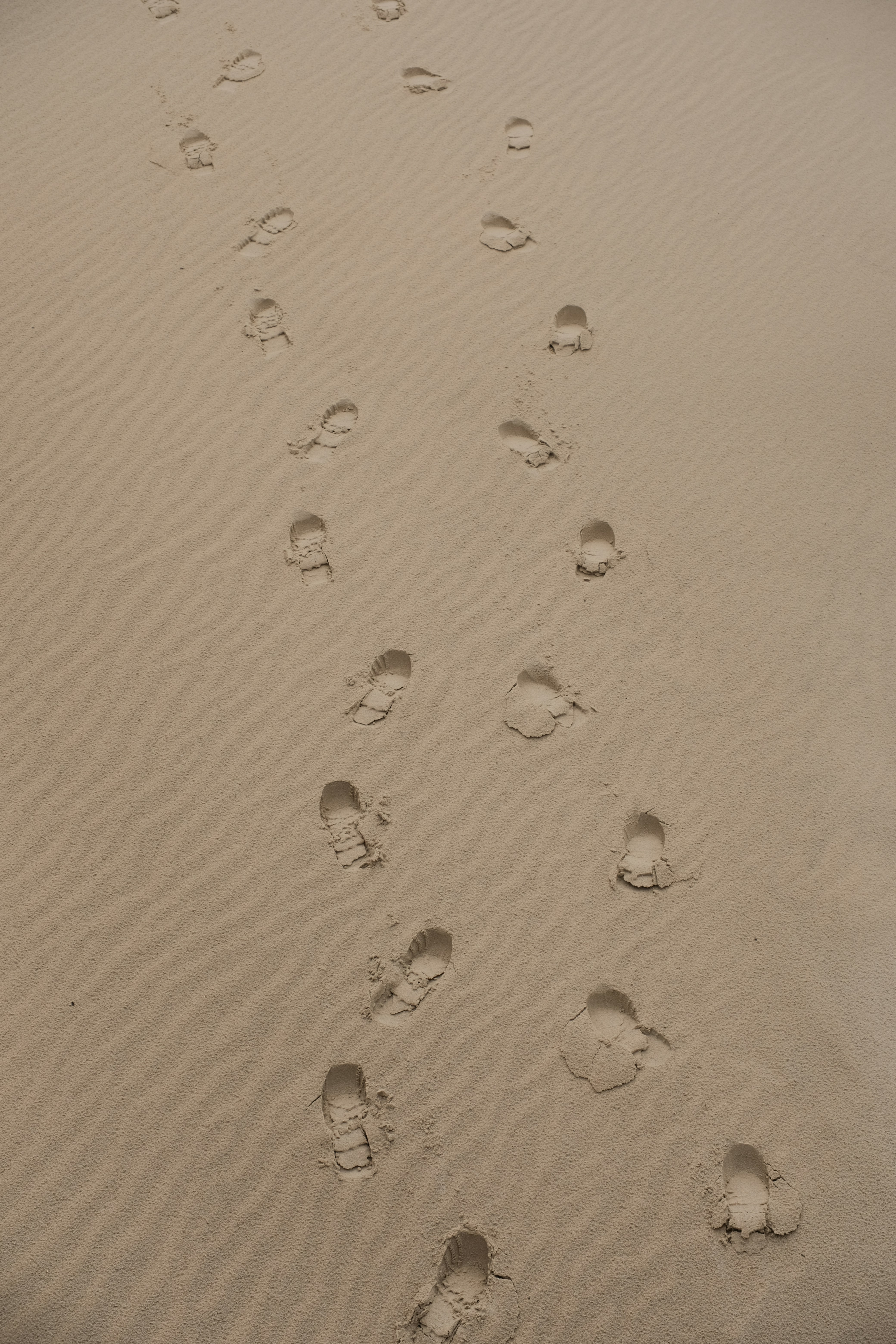 Footprints trail through sand.