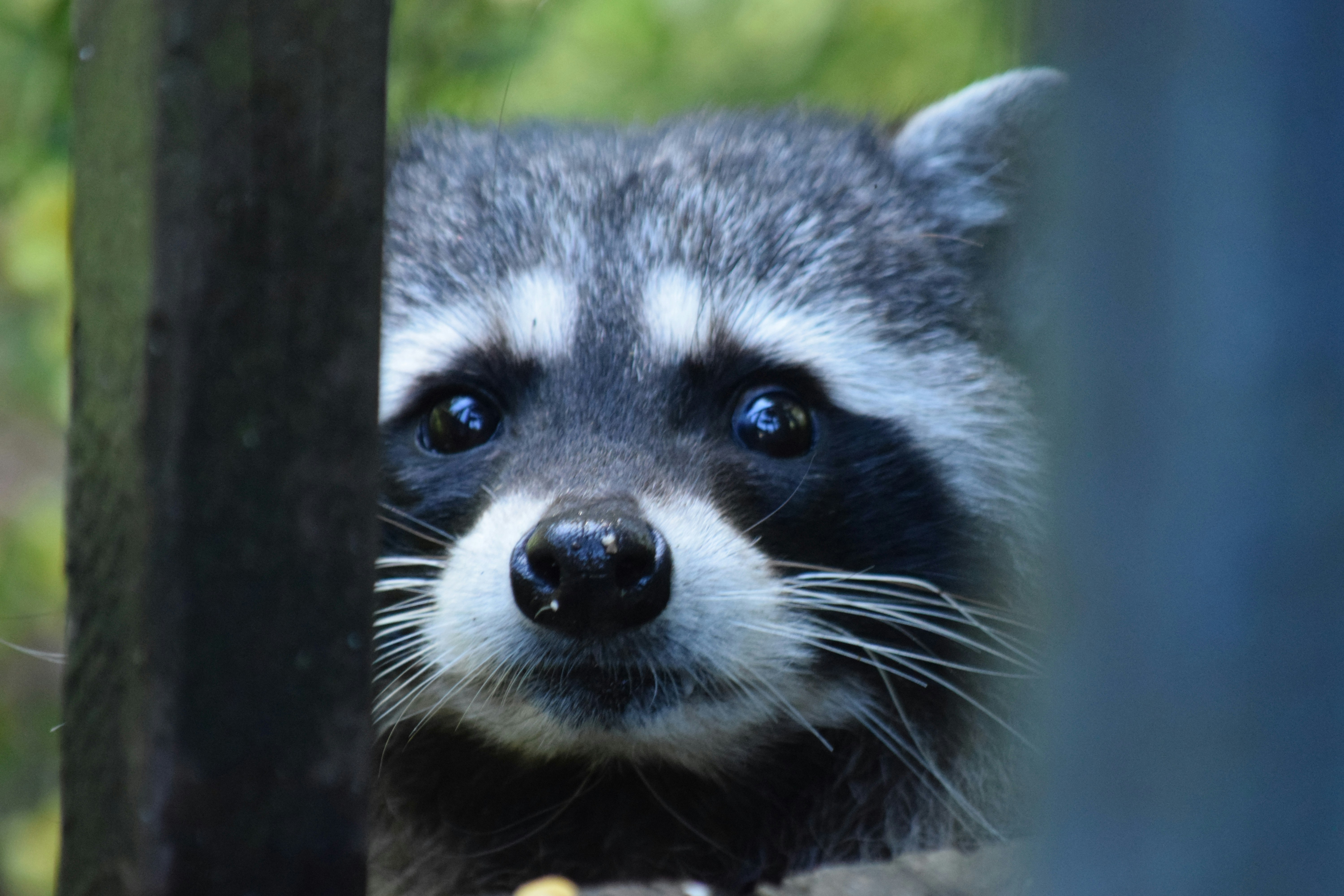 Photo by fr0ggy5_fr0ggy5