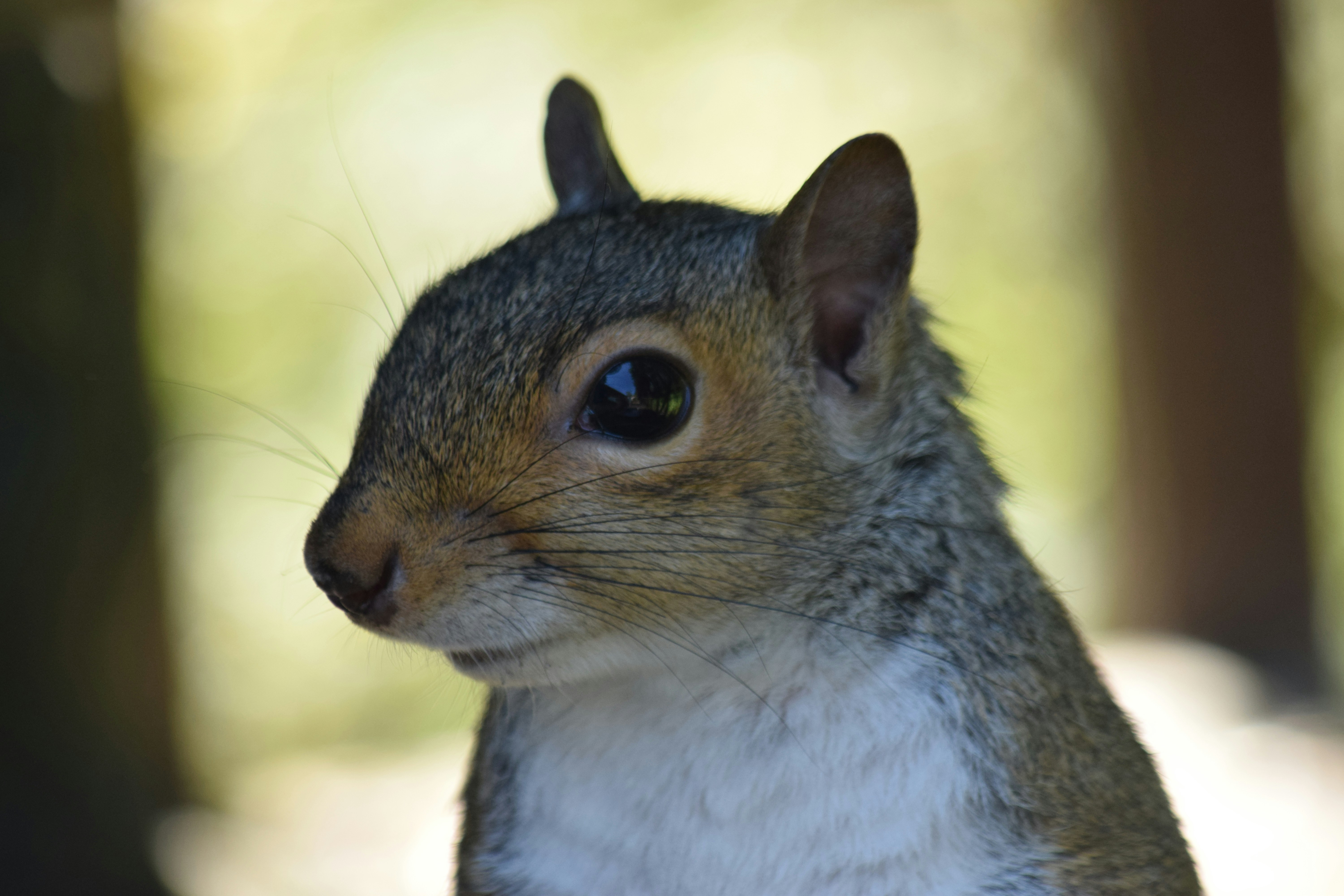 Photo by fr0ggy5_fr0ggy5