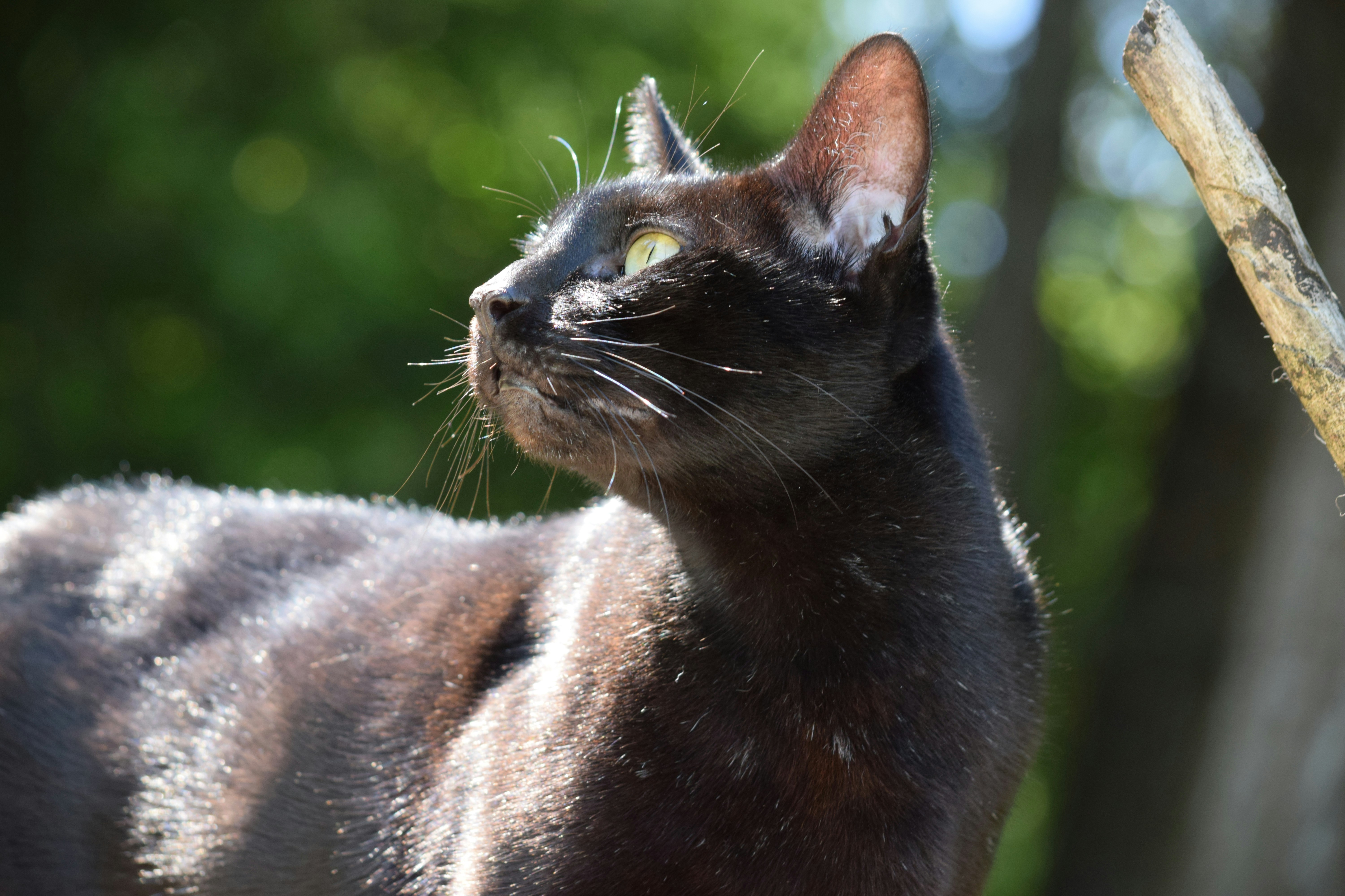 Photo by fr0ggy5_fr0ggy5