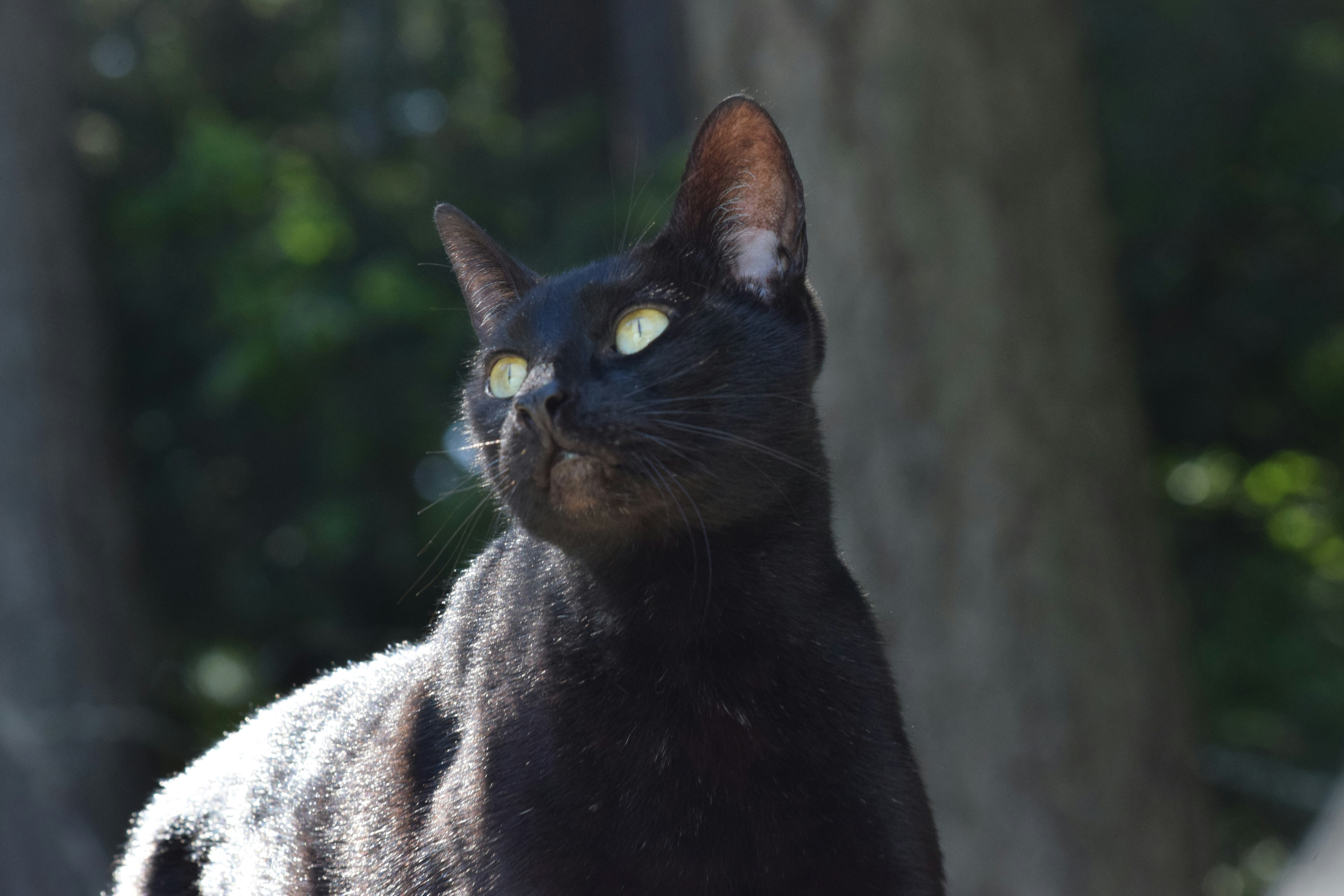 Photo by fr0ggy5_fr0ggy5