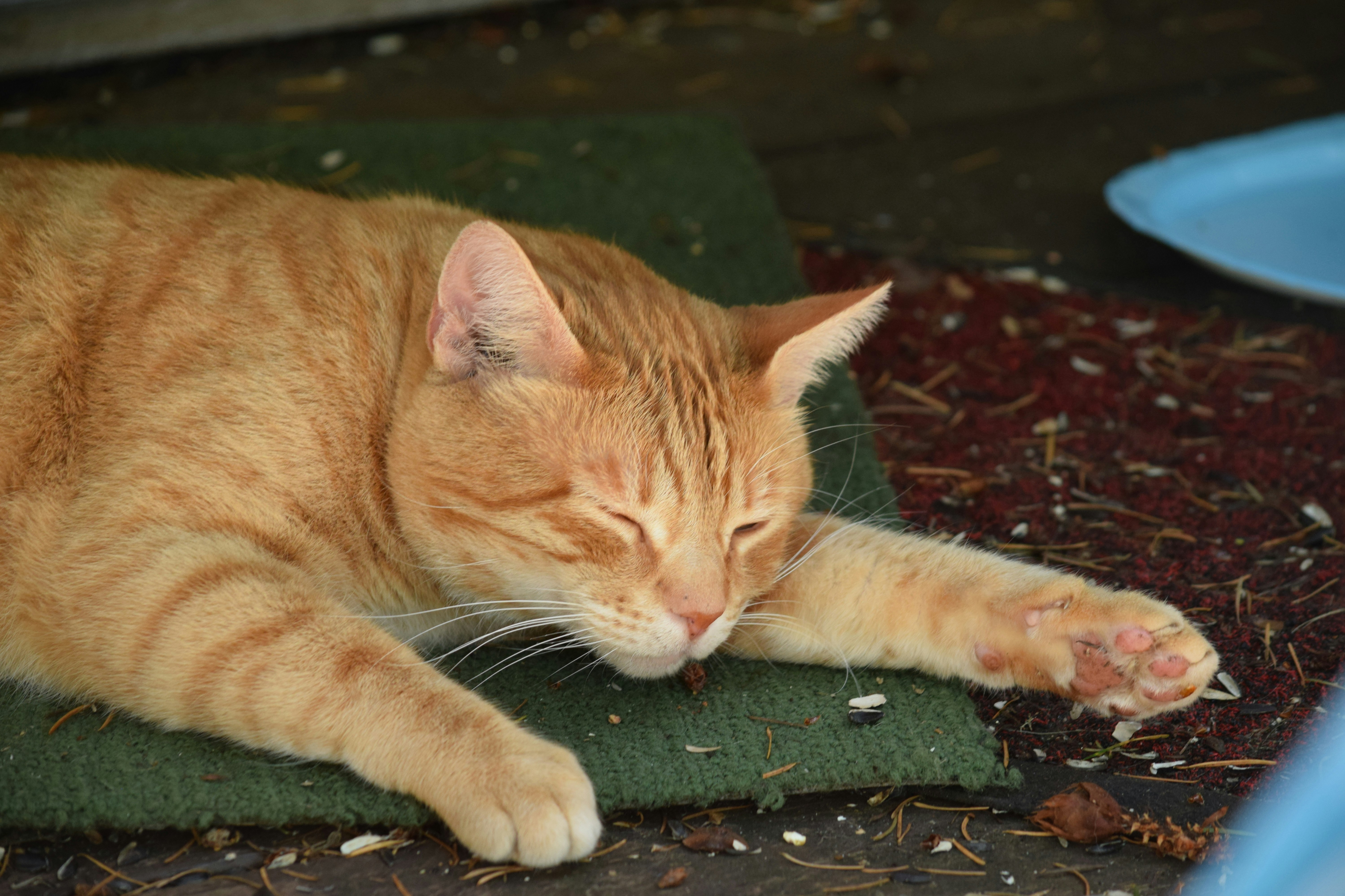 Photo by fr0ggy5_fr0ggy5