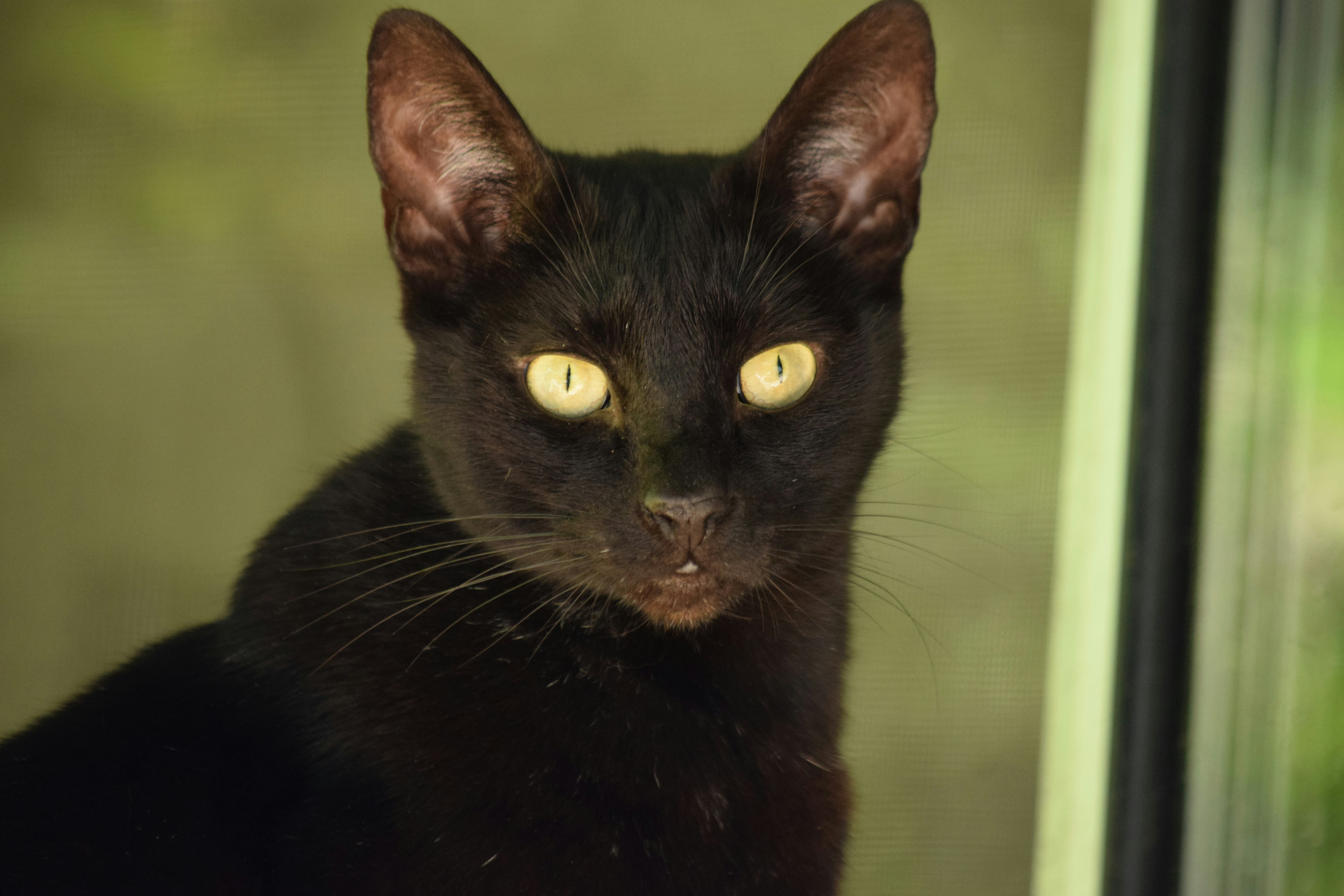 Photo by fr0ggy5_fr0ggy5