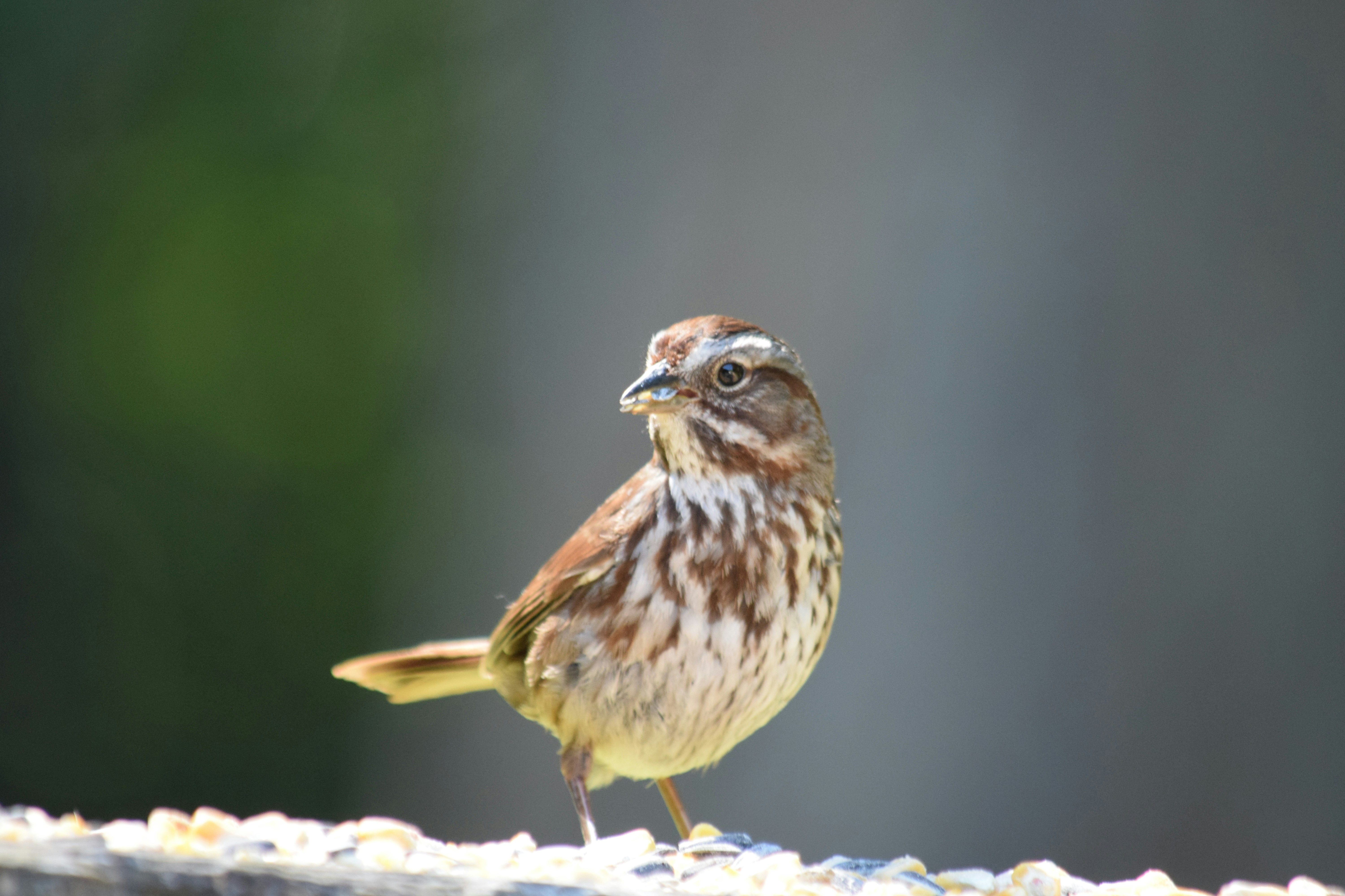 Photo by fr0ggy5_fr0ggy5