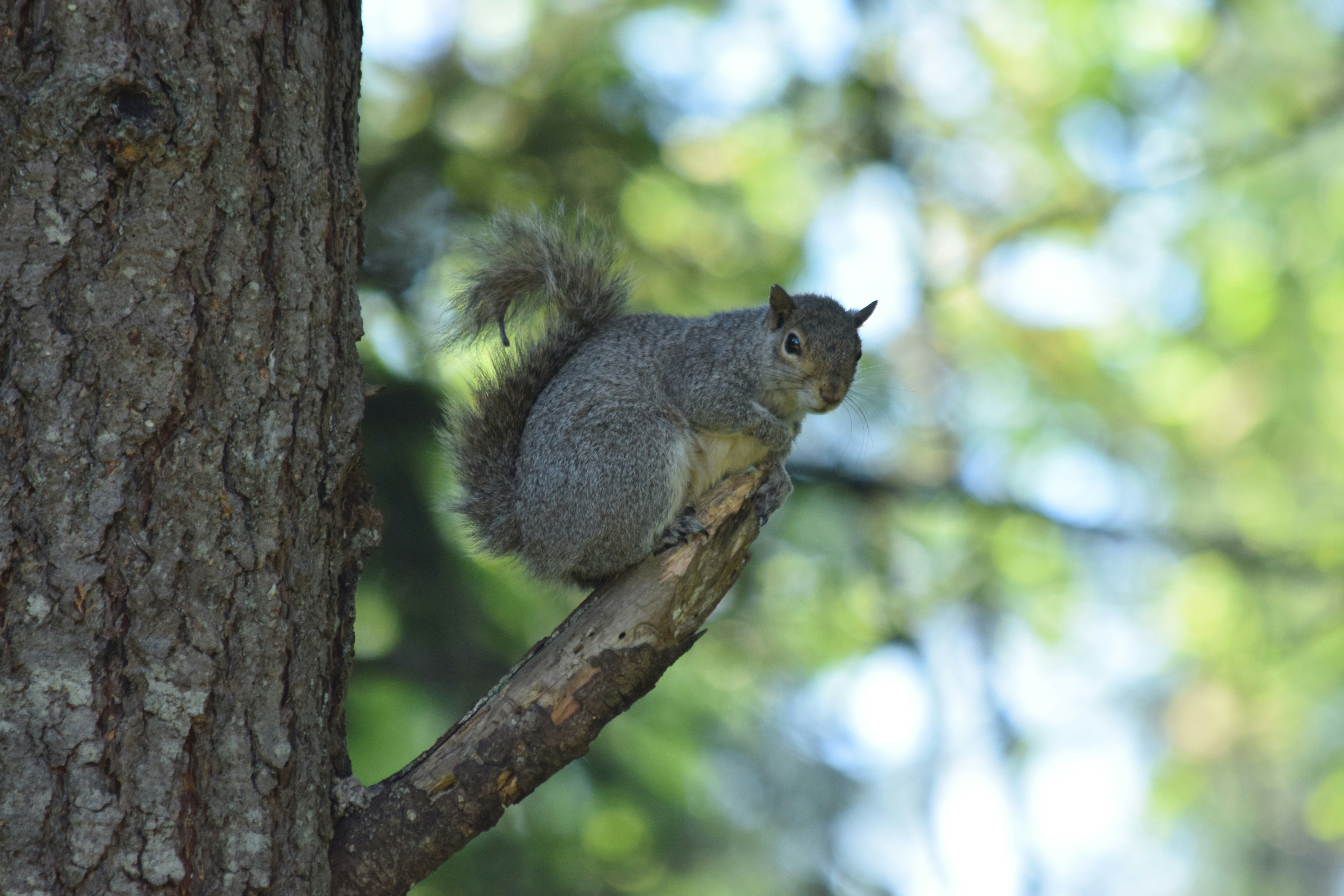 Photo by fr0ggy5_fr0ggy5