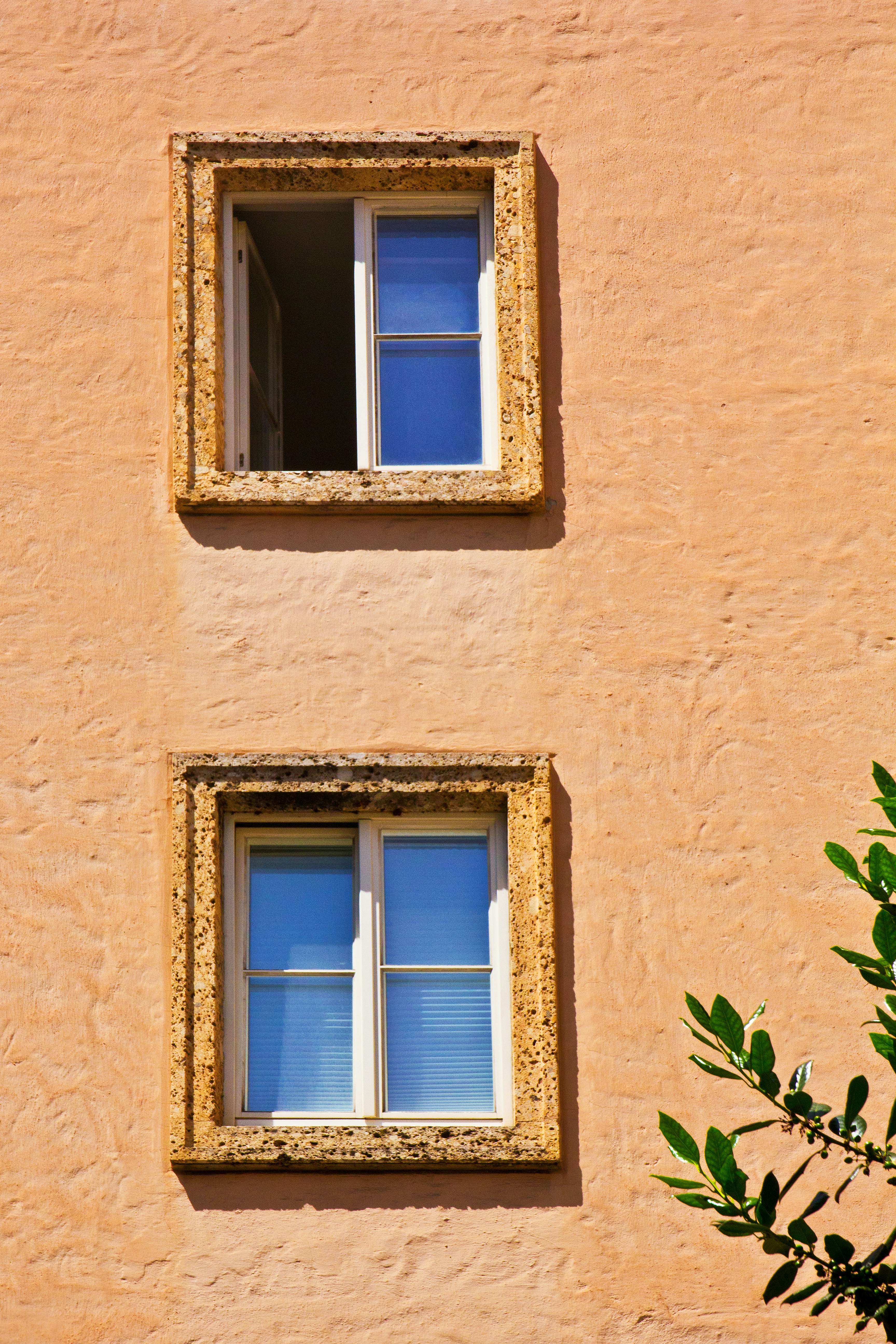 Types of Window Tint