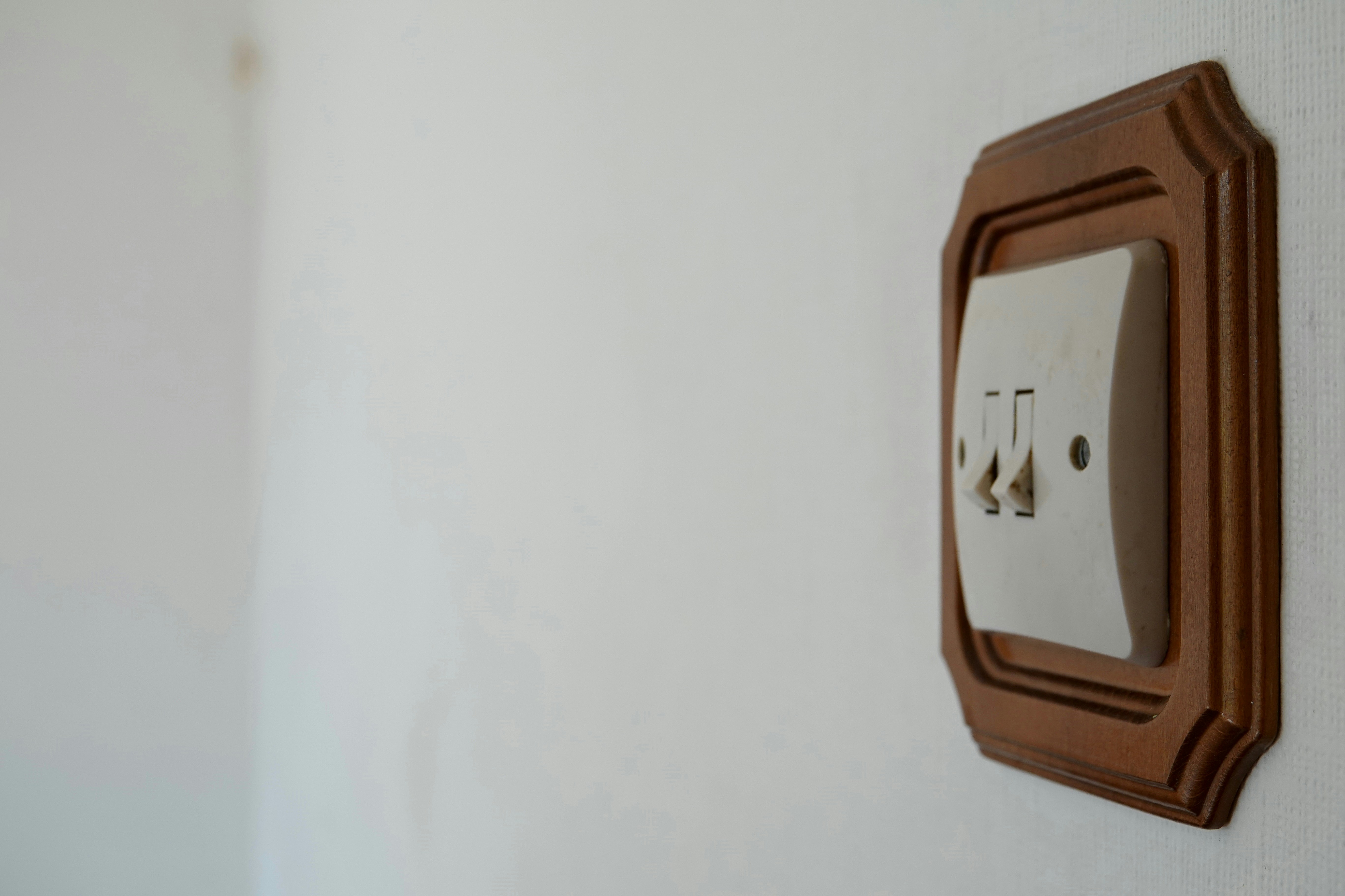 Photo by priyankachechi29