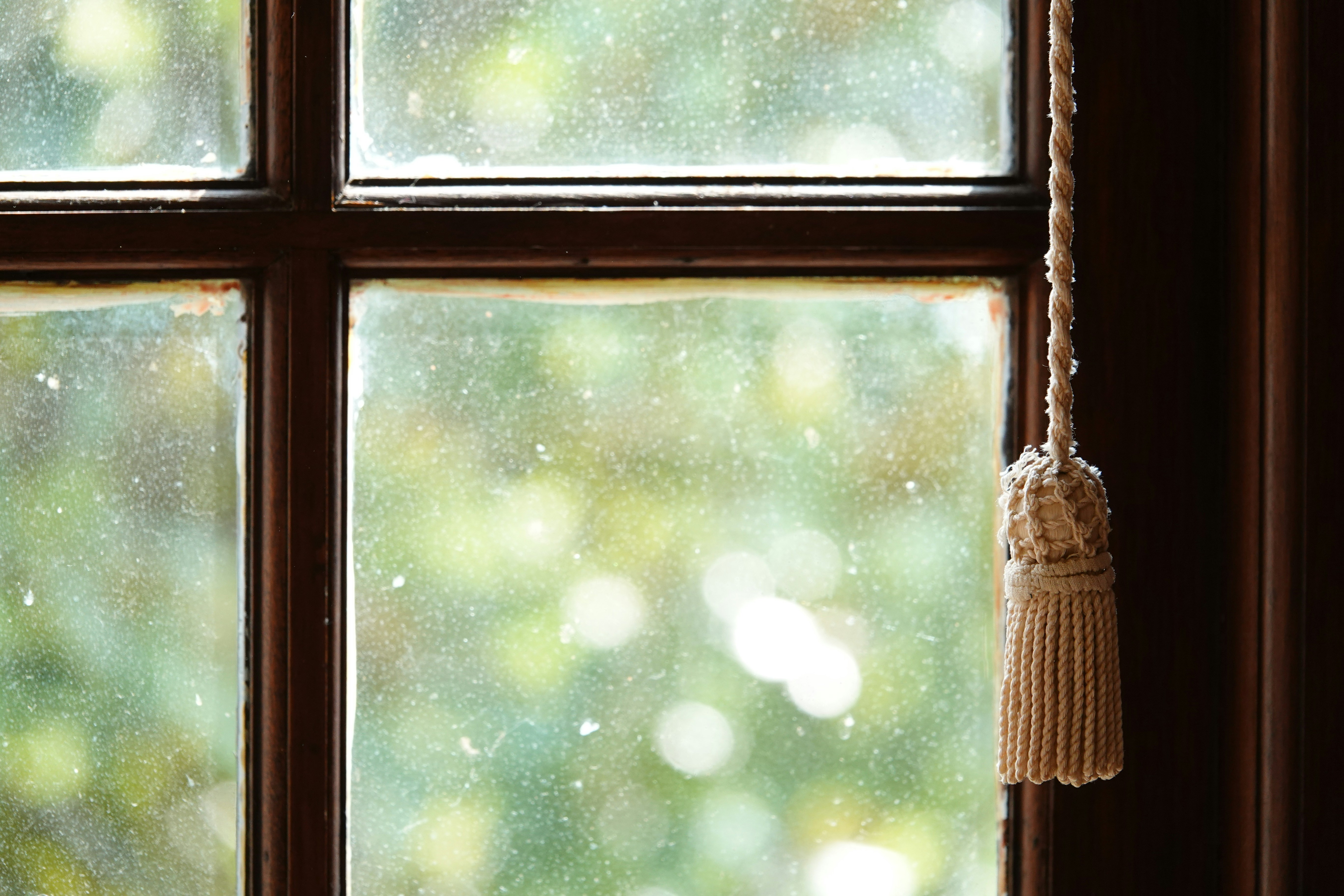 A dirty window shows a blurry green background.