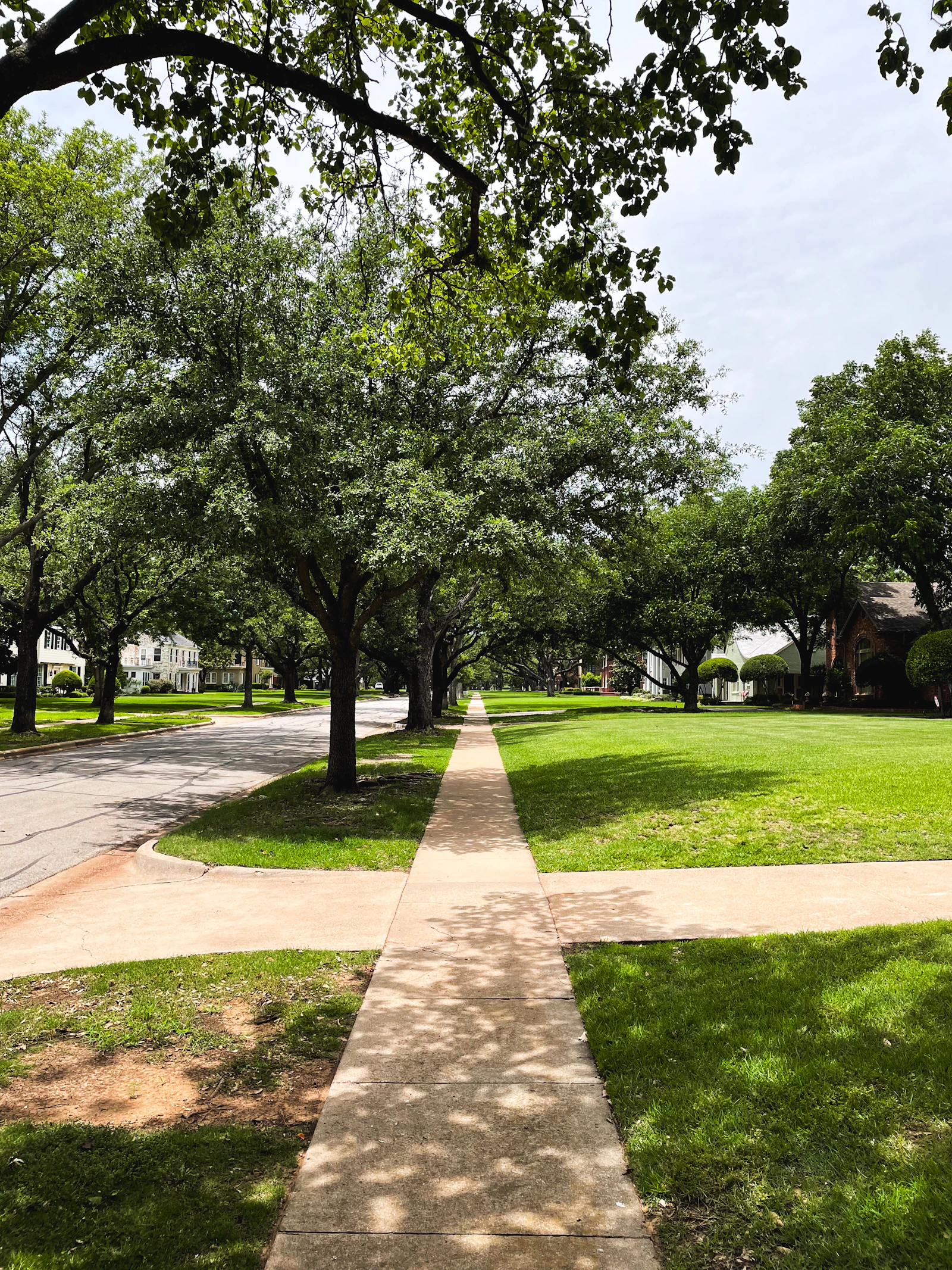 Storm-damaged trees being cleared from a residential road
