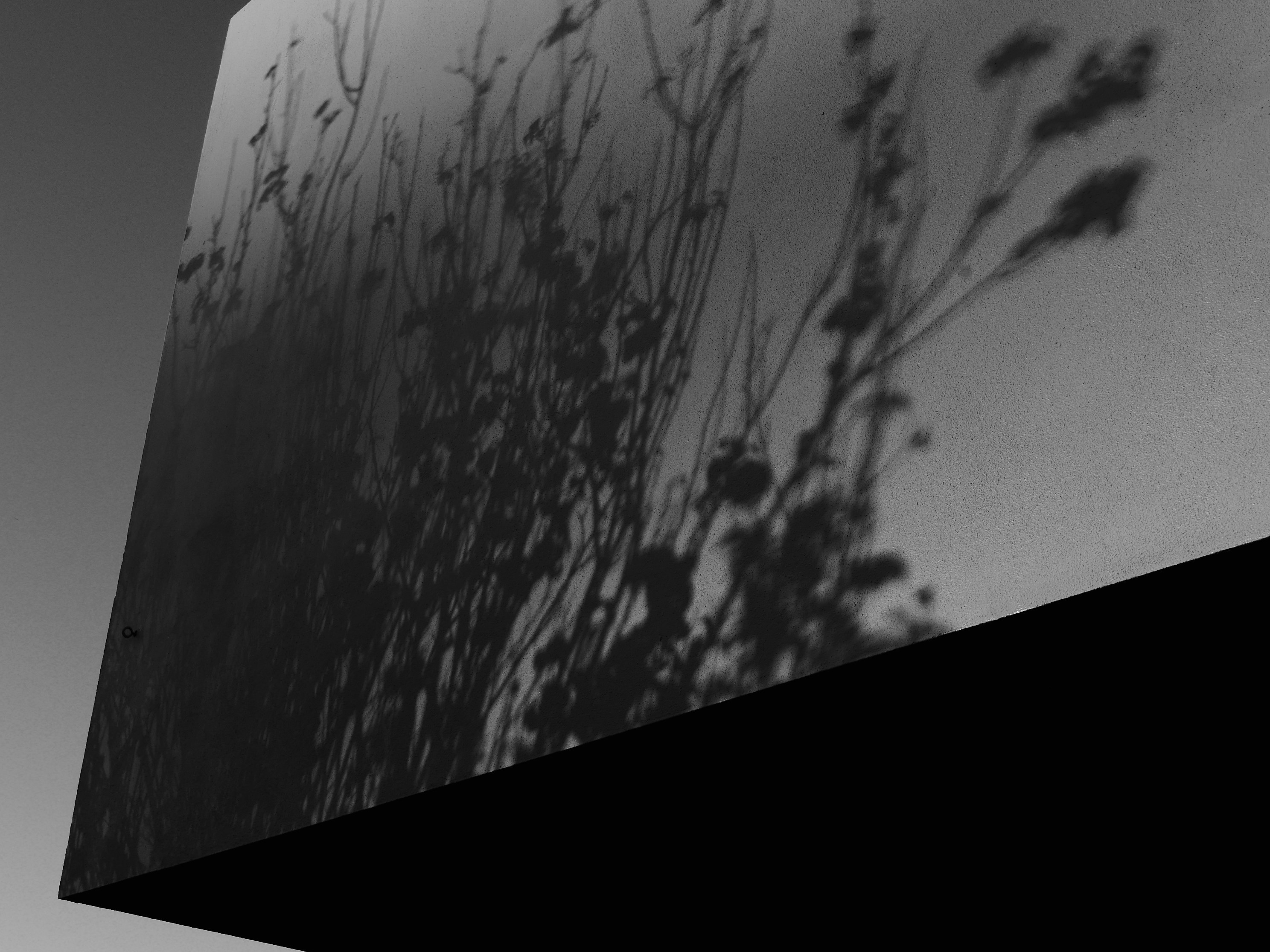 Shadows on wall at sunset