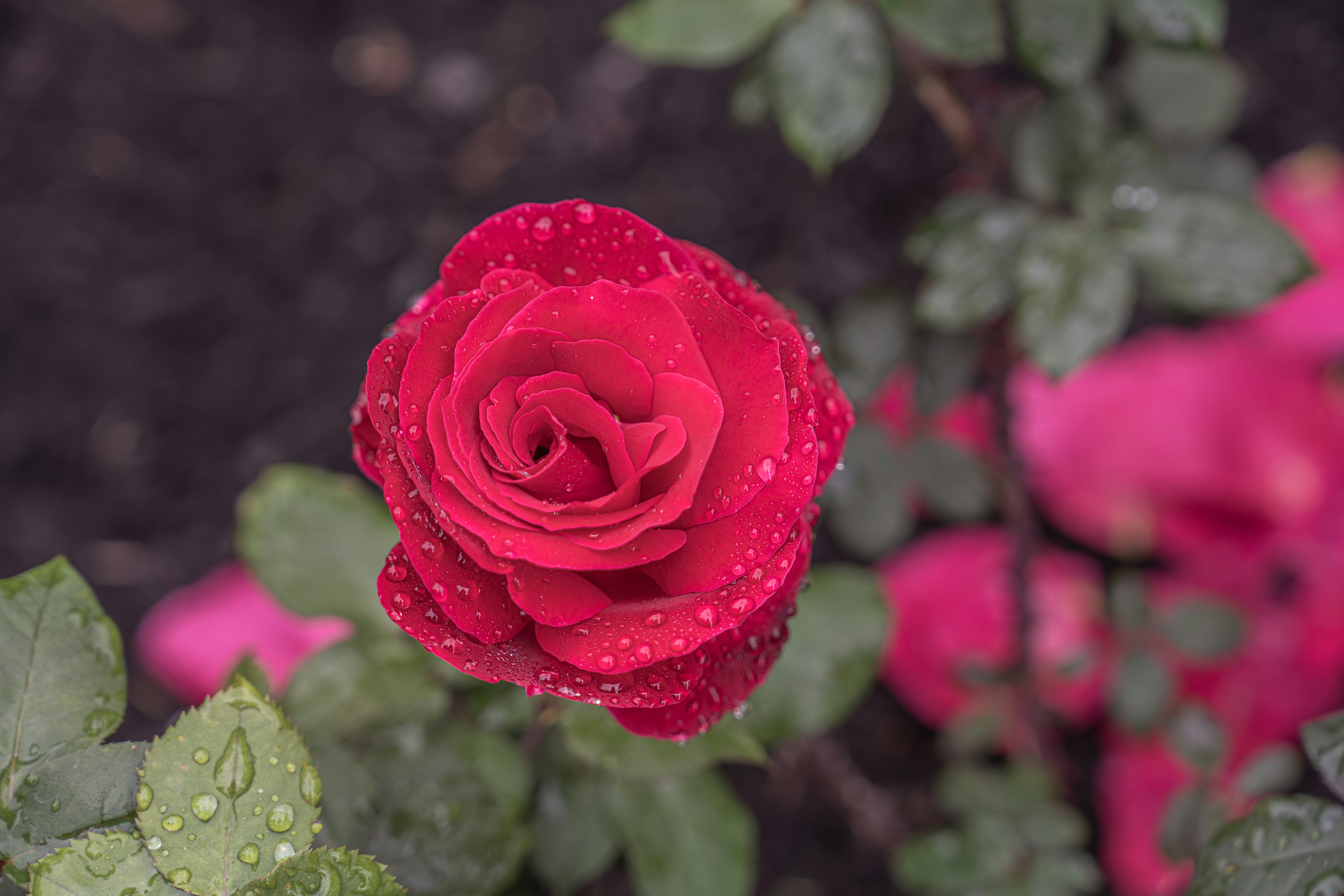 Photo by fortuitousfoto