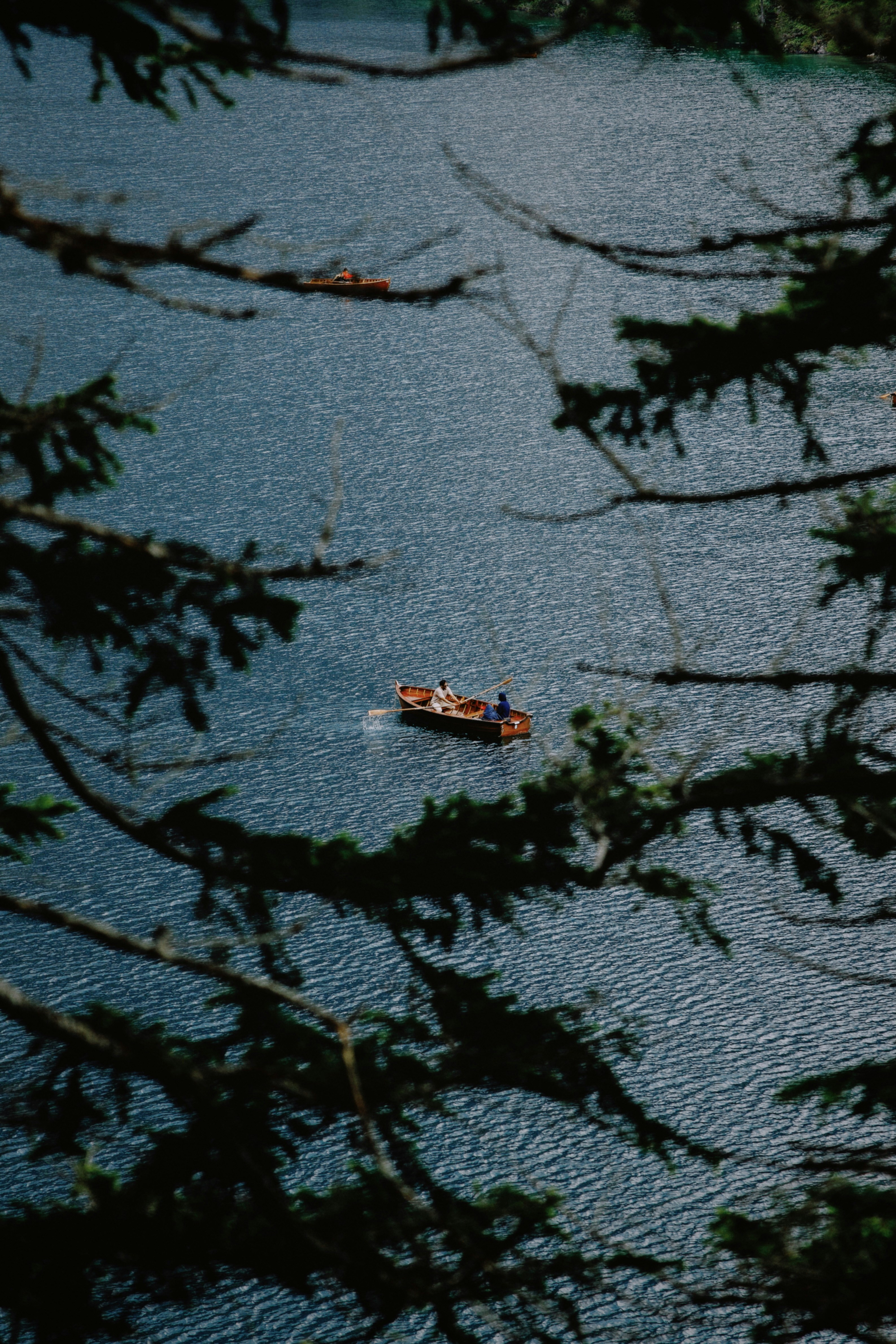 Photo by lgnwvr