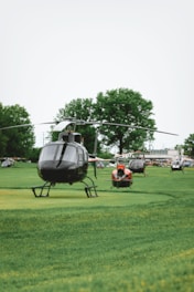 Several helicopters are parked on the green field.