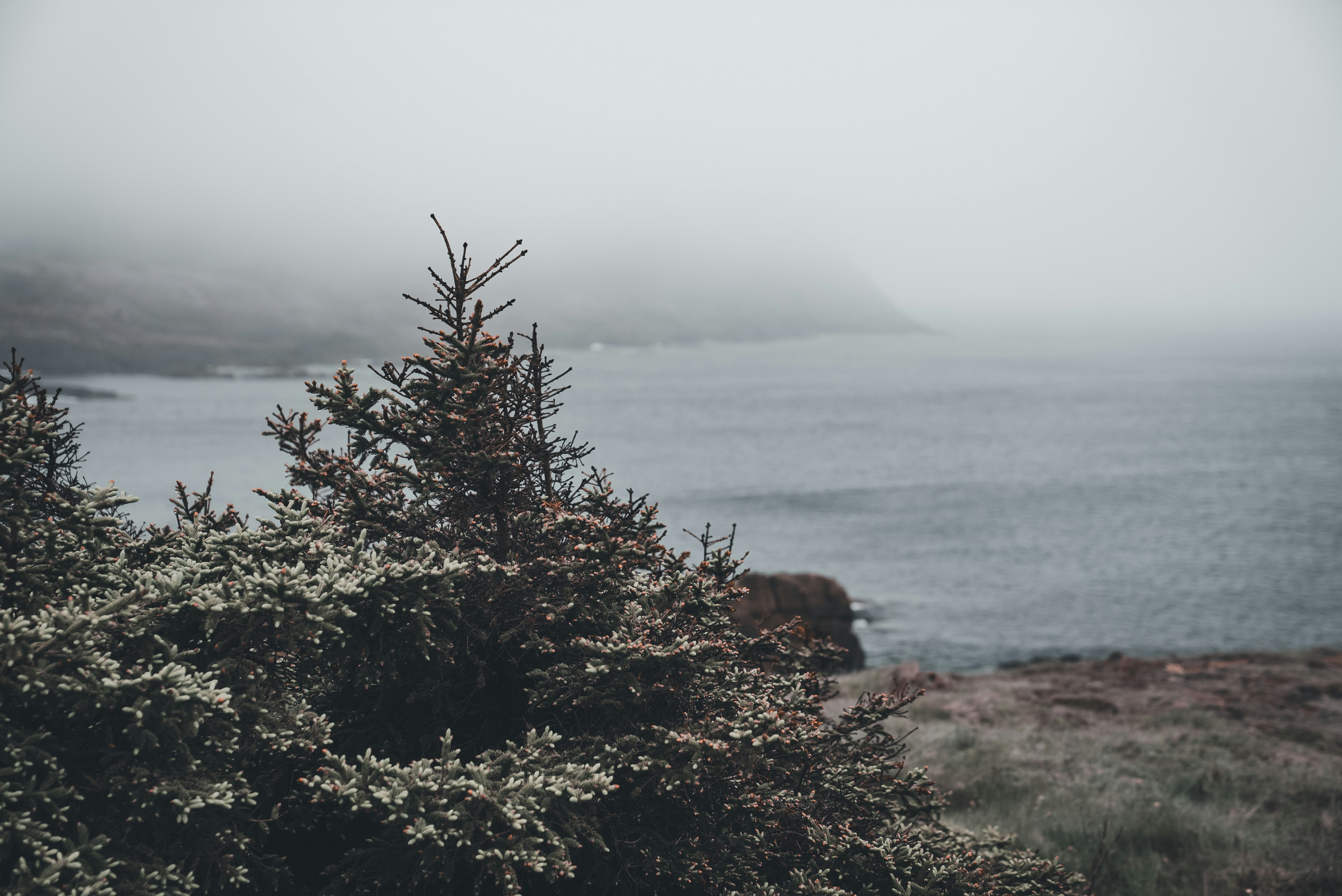 Photo by introspectivedsgn