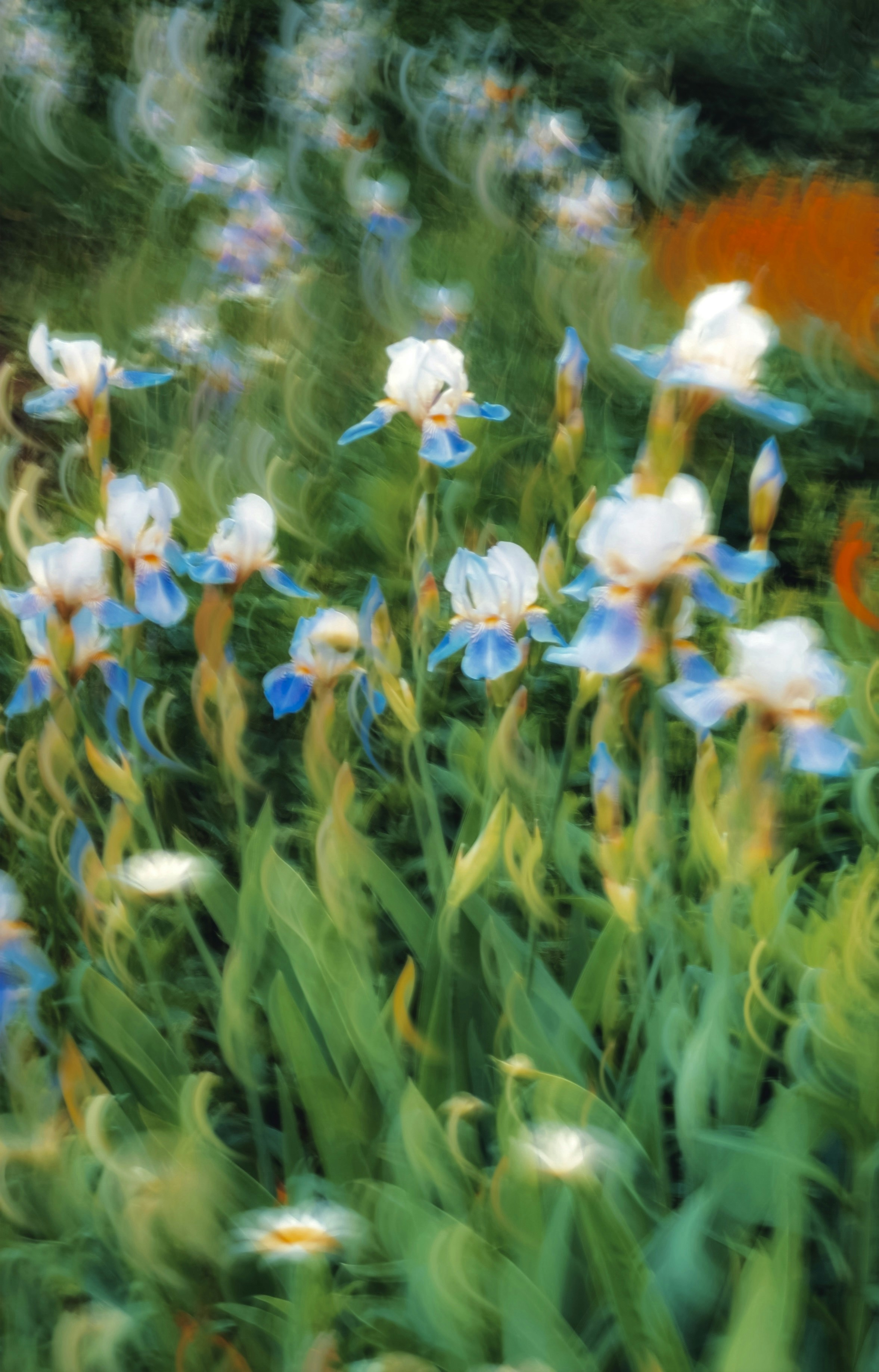 Photo by eugene_golovesov