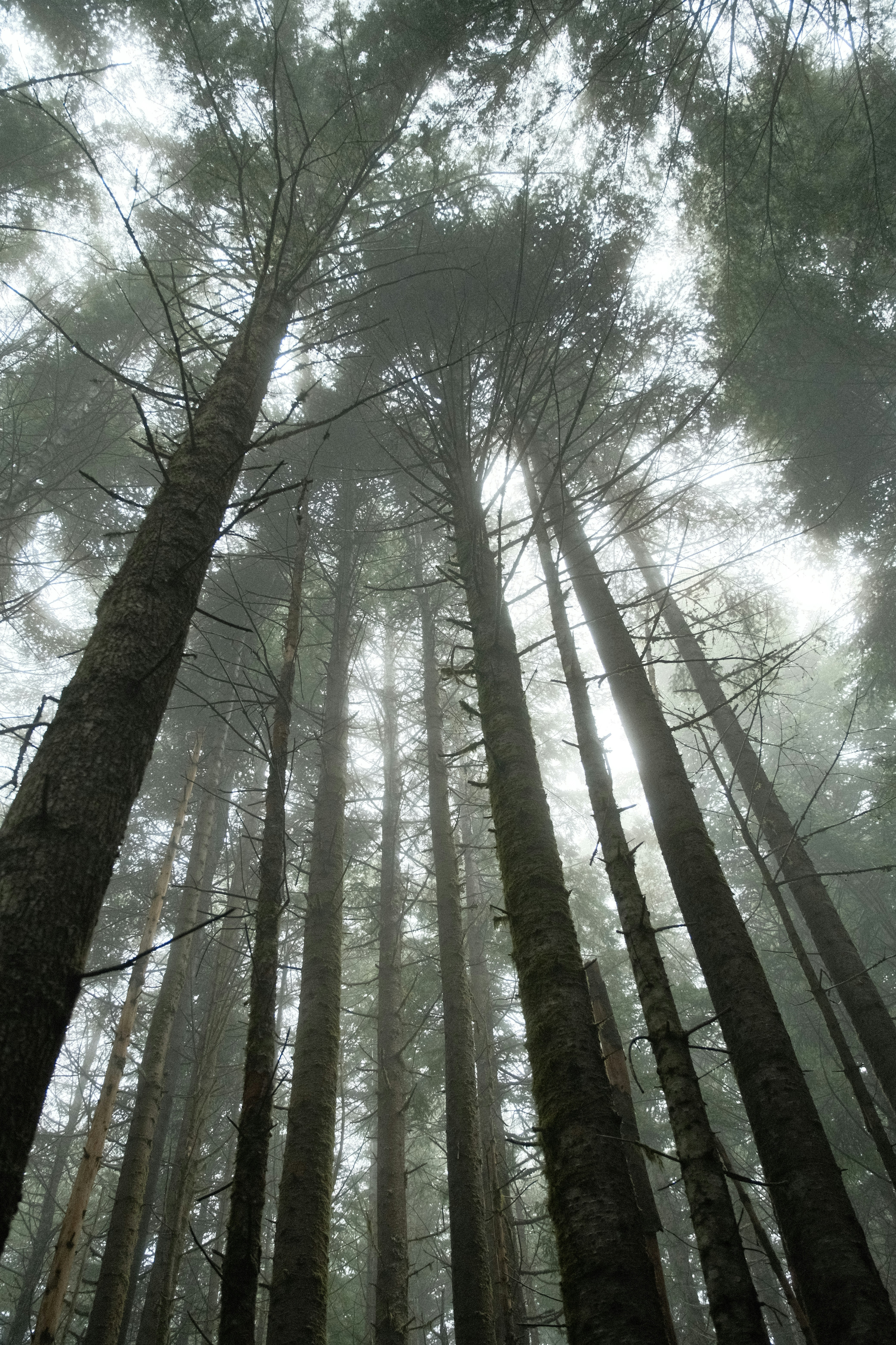 Photo by samanthacasm