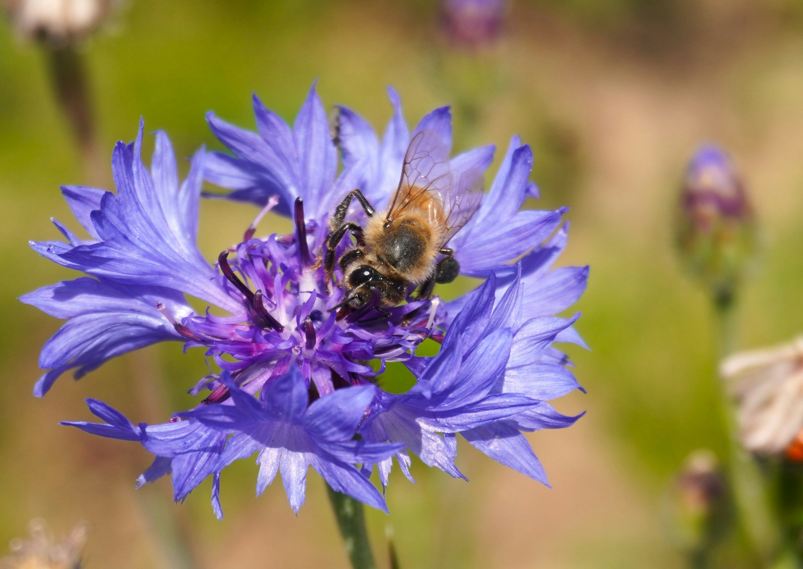 Photo by aditipanatu95