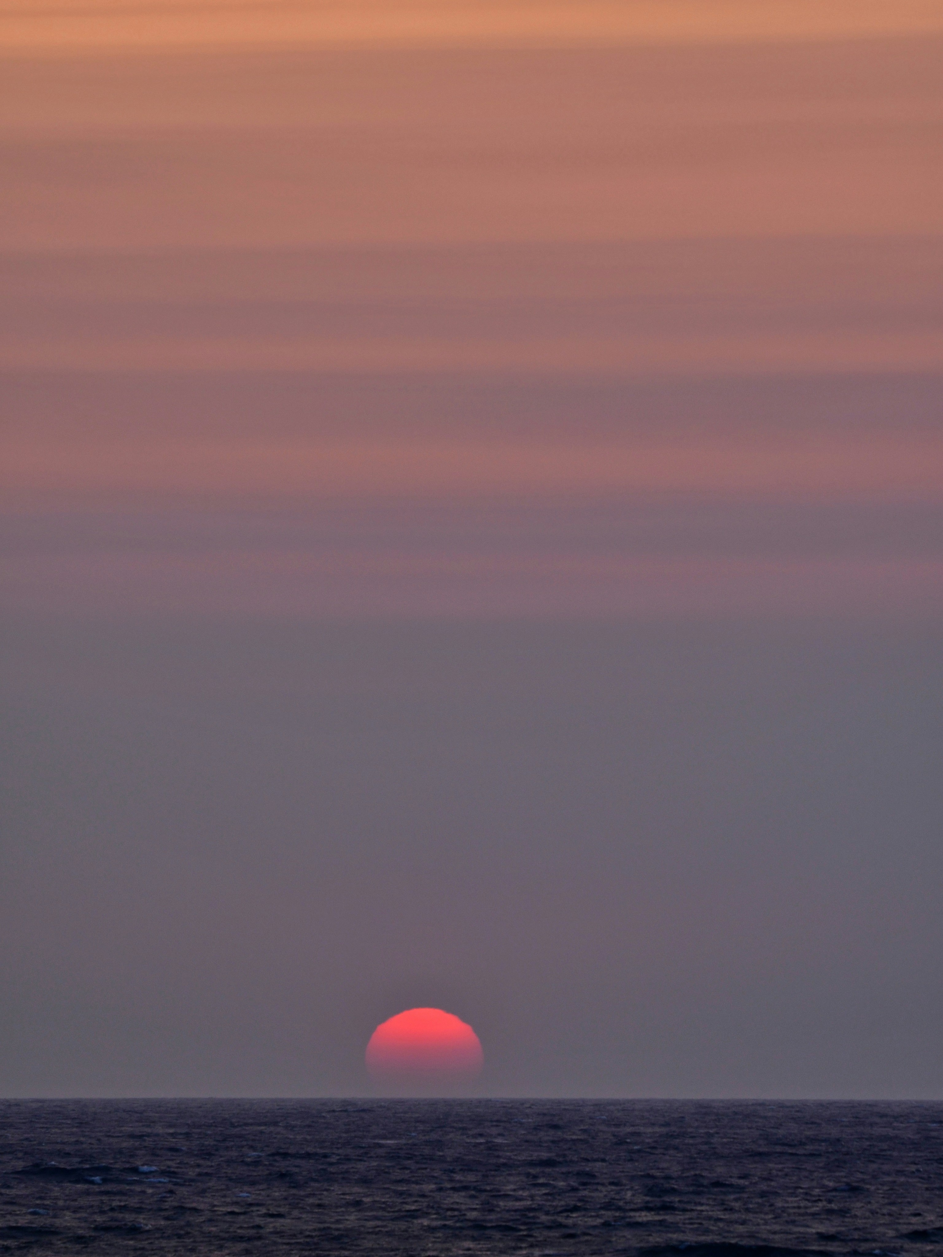 Photo by pedrino5_official