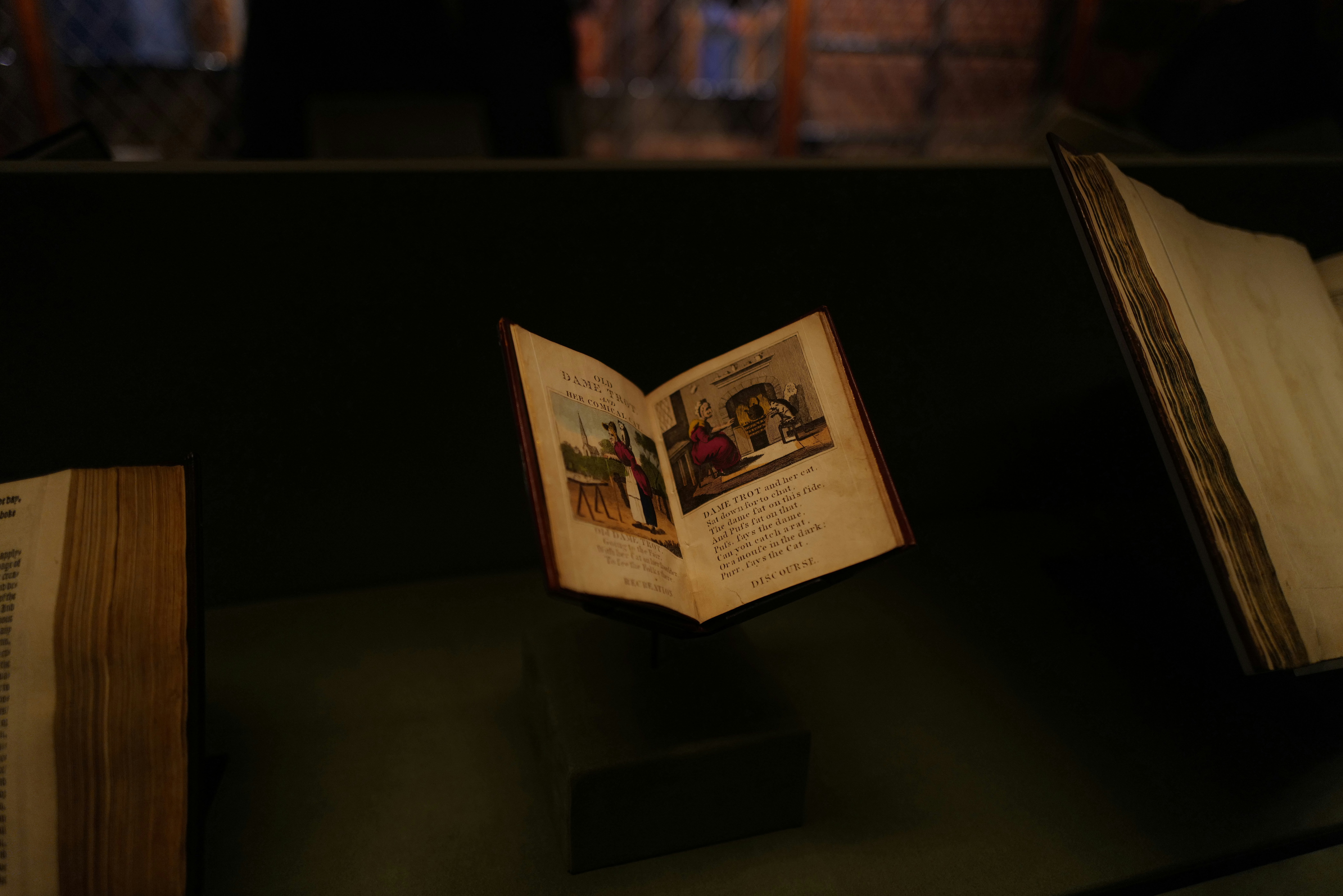 Photo by bee_bee_bee