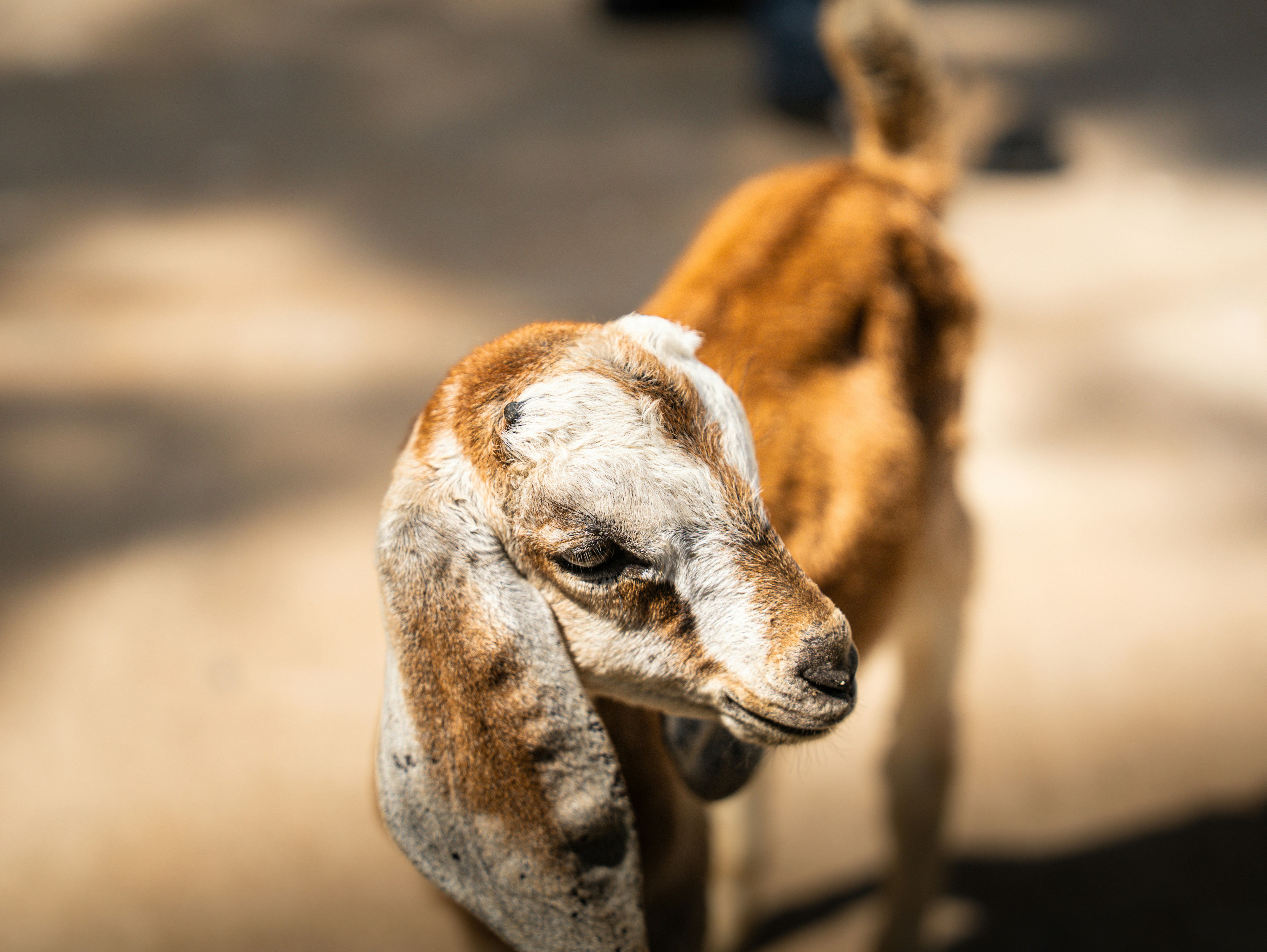 Photo by tlamtran_11