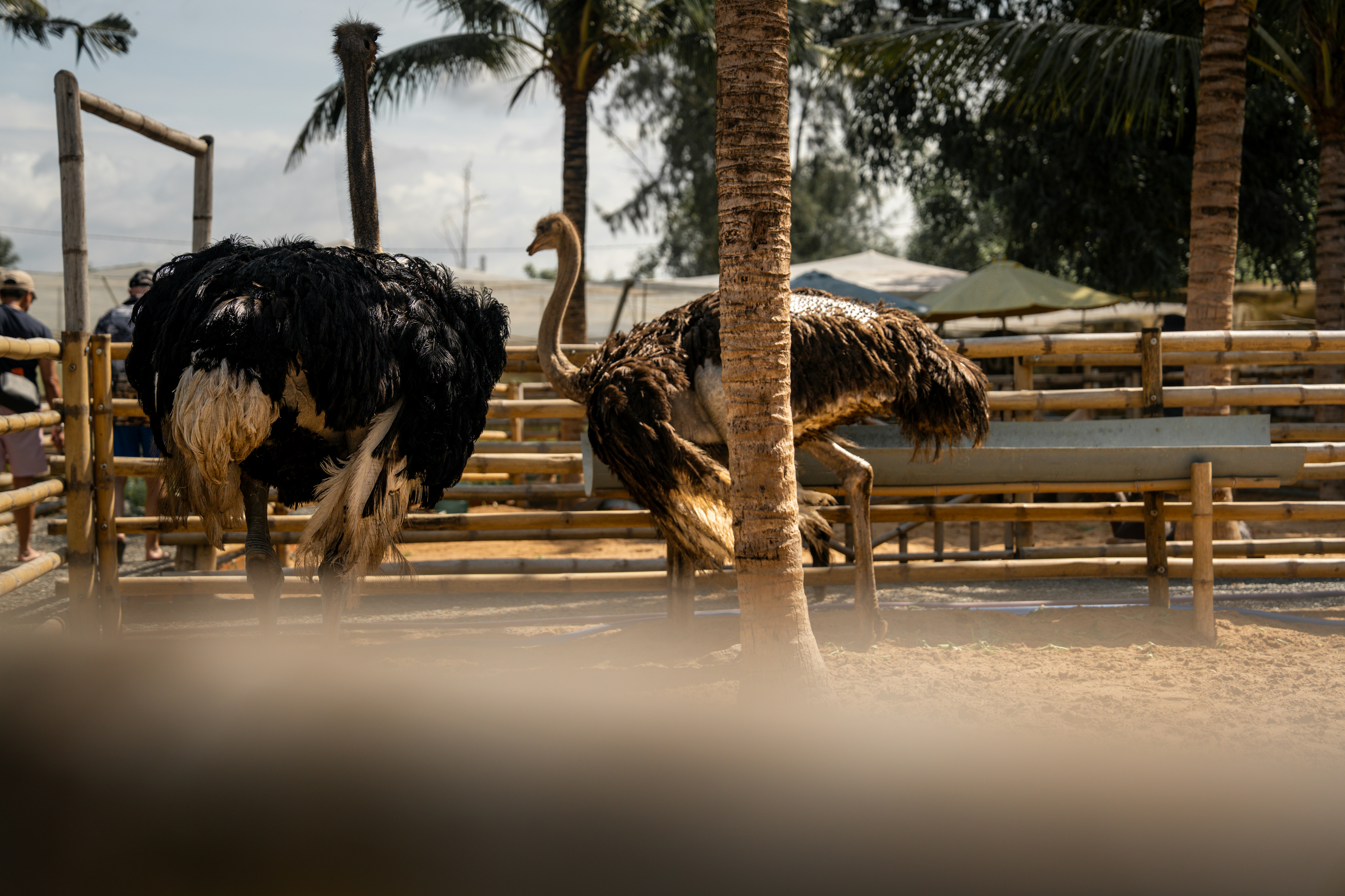 Photo by tlamtran_11