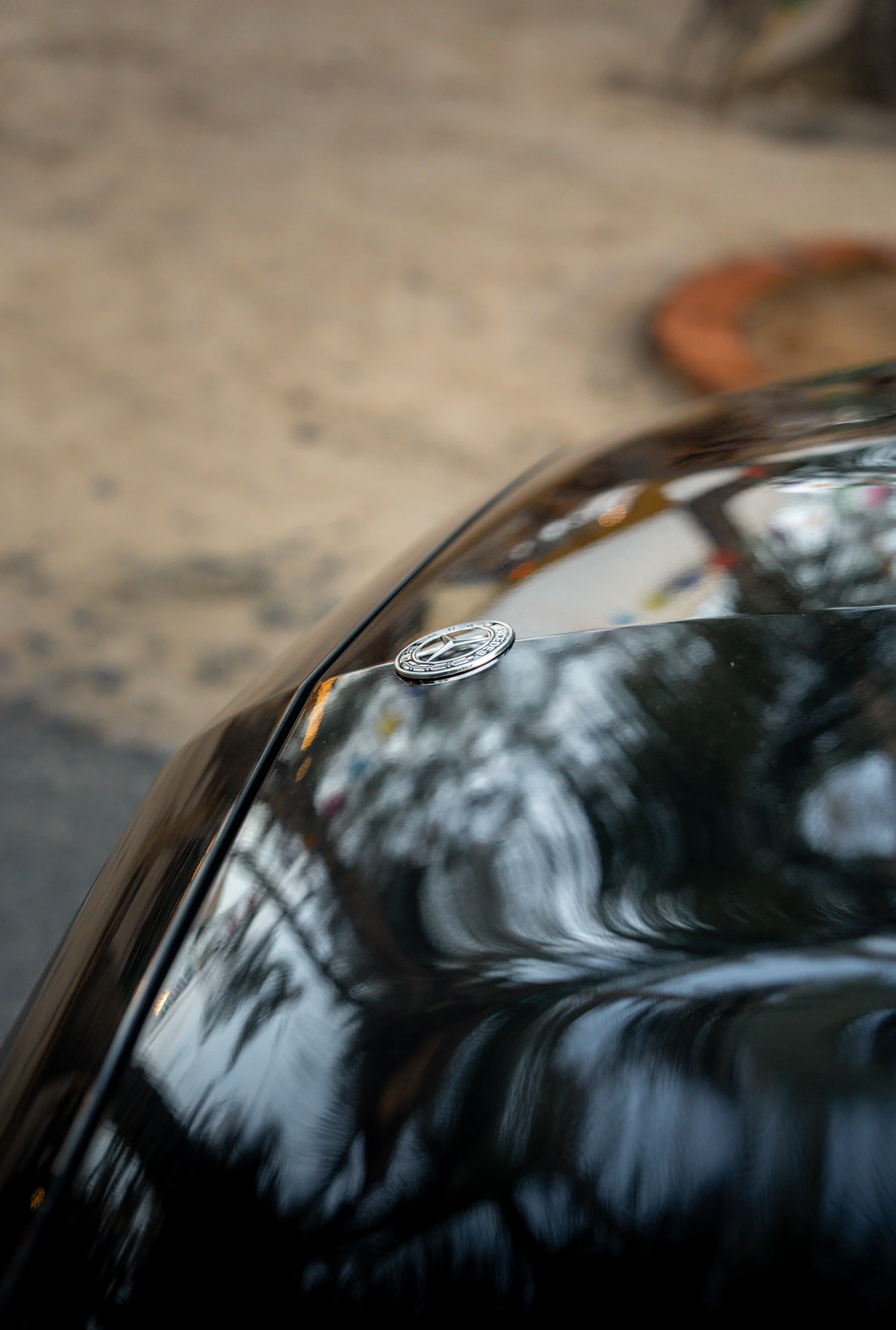 Hood emblem detail